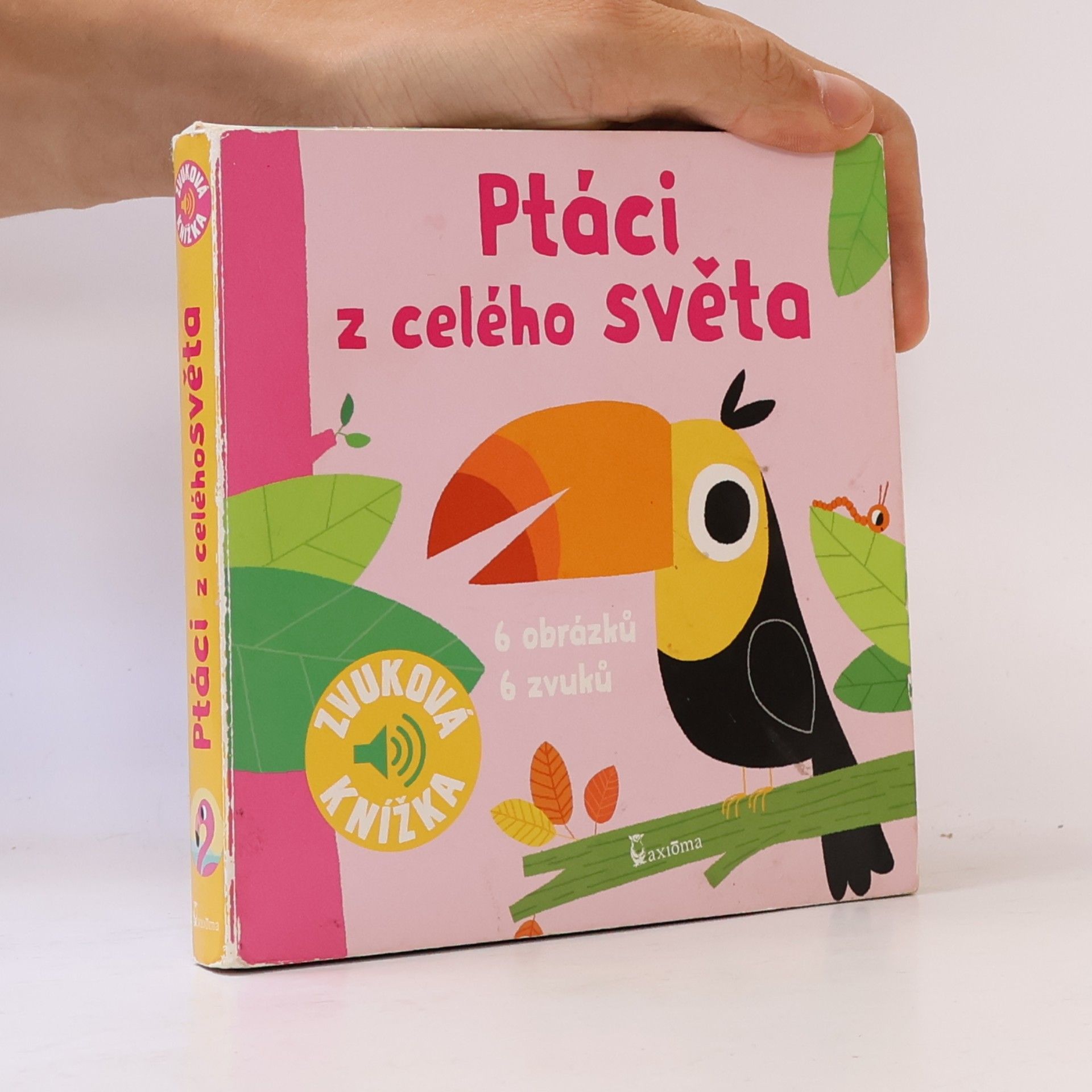 Marion Billet Ptáci z celého světa