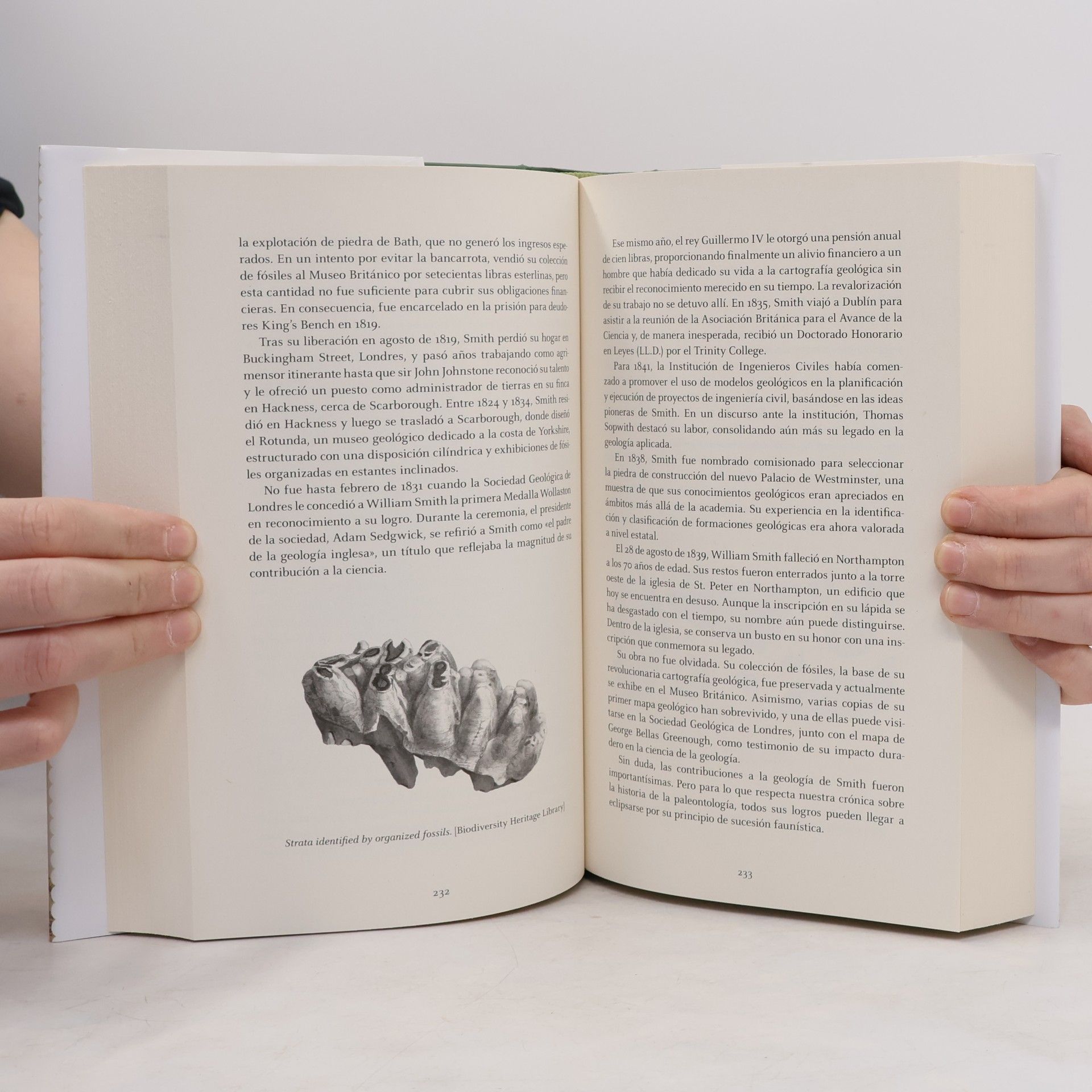 Francesc Gascó Lluna Divulgación Científica: Historia de la paleontología