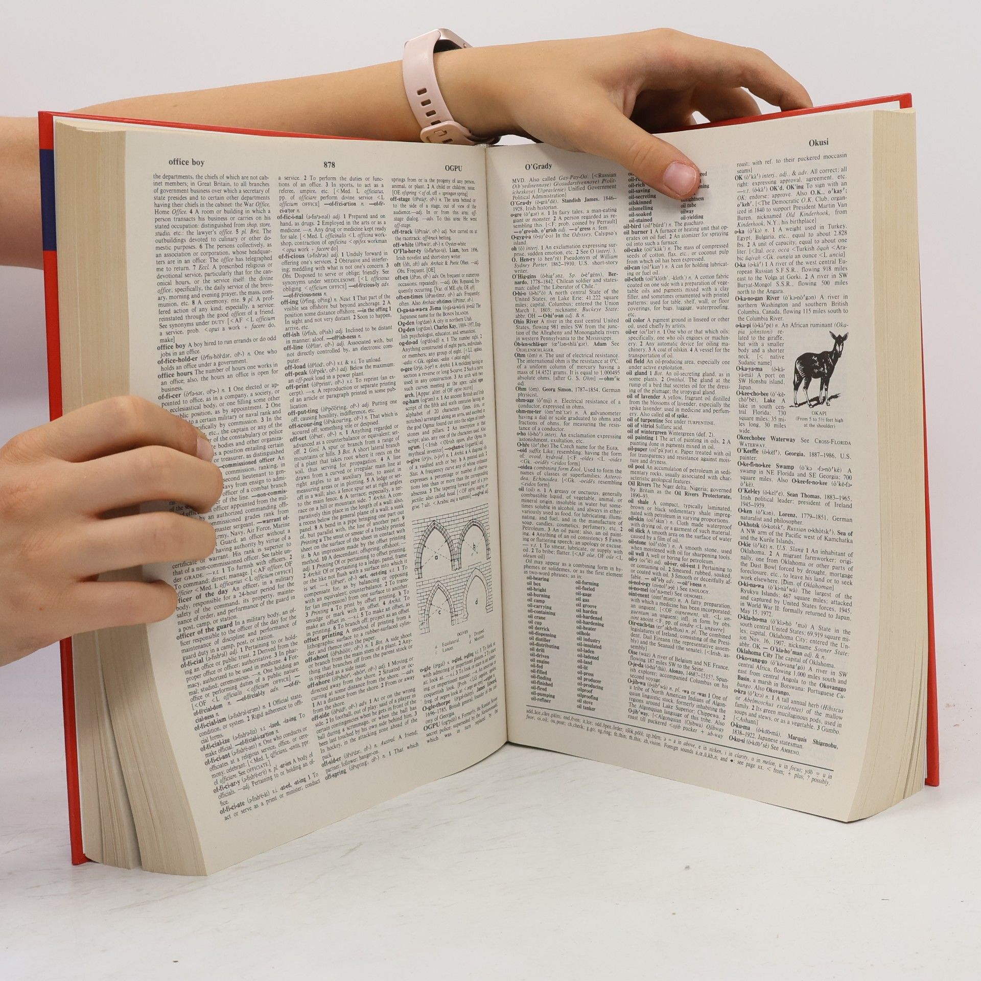 Various authors Webster's Comprehensive Dictionary
