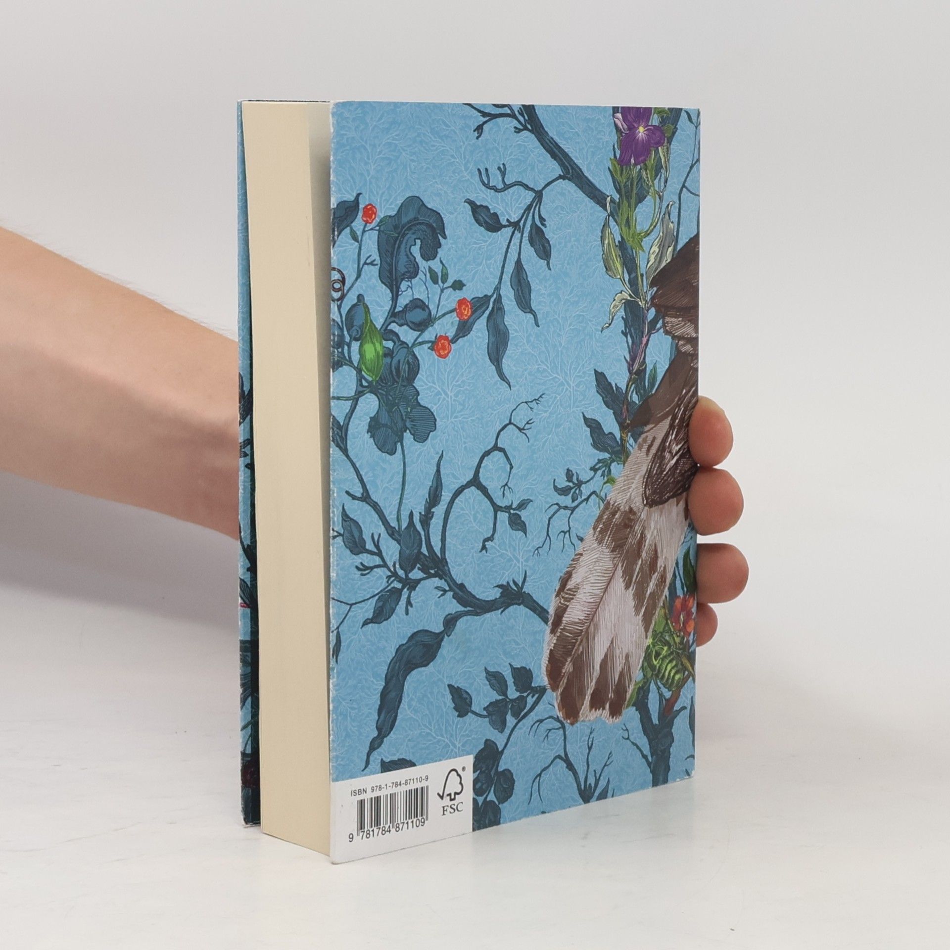 Helen Macdonald H is for Hawk (The Birds and the Bees)