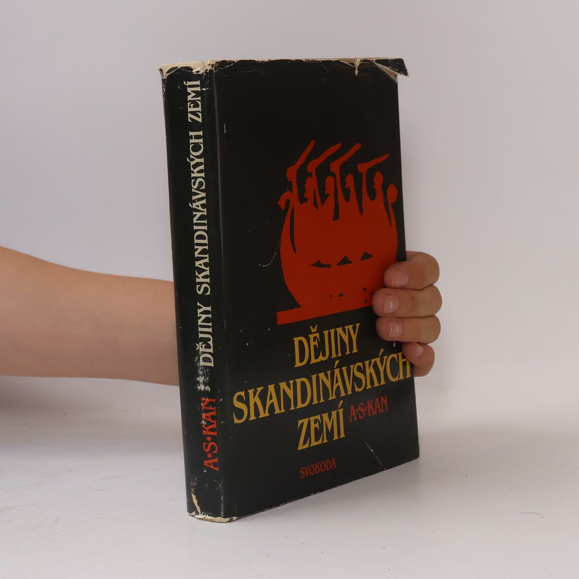 Aleksandr Sergejevič Kan Dějiny skandinávských zemí