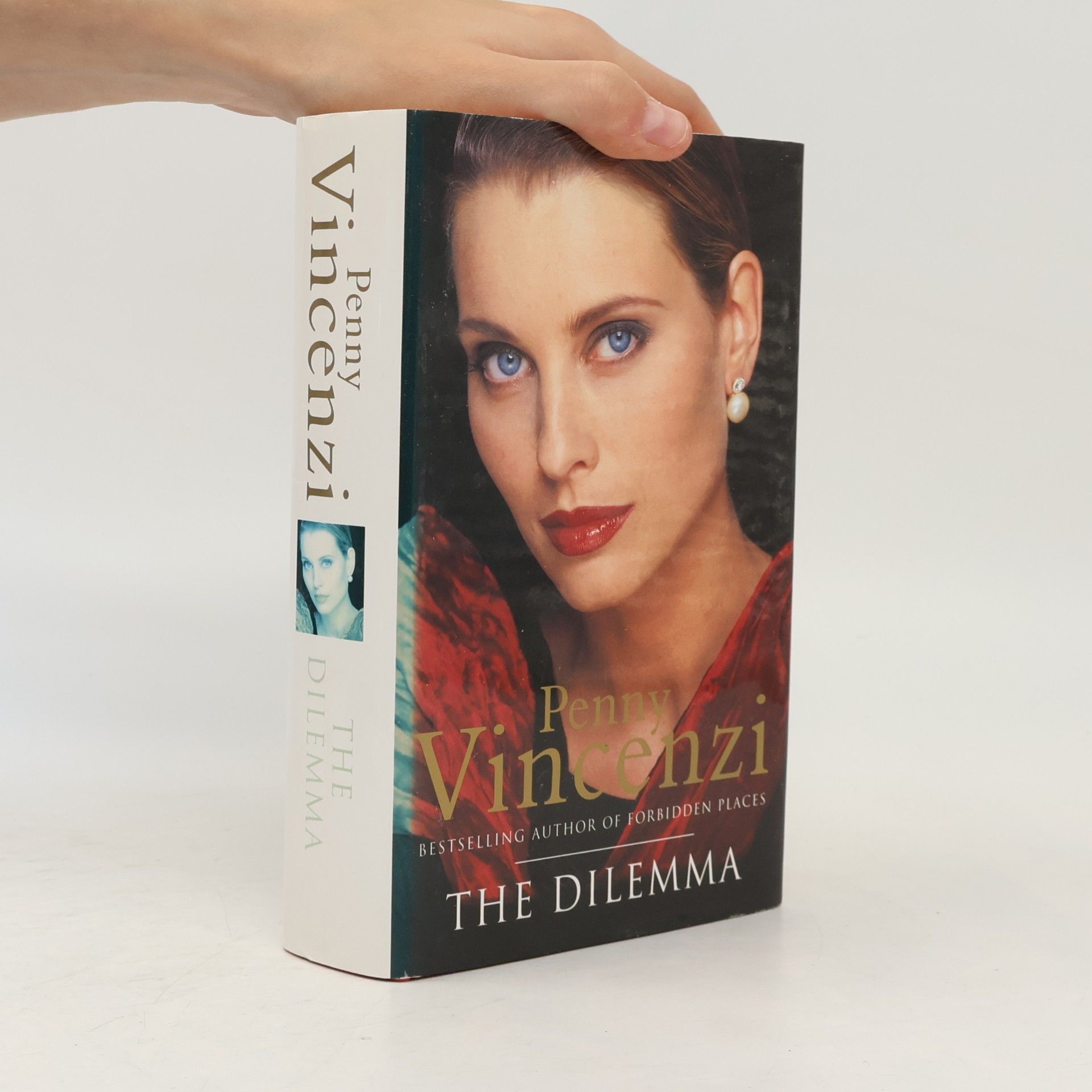 Penny Vincenzi The Dilemma