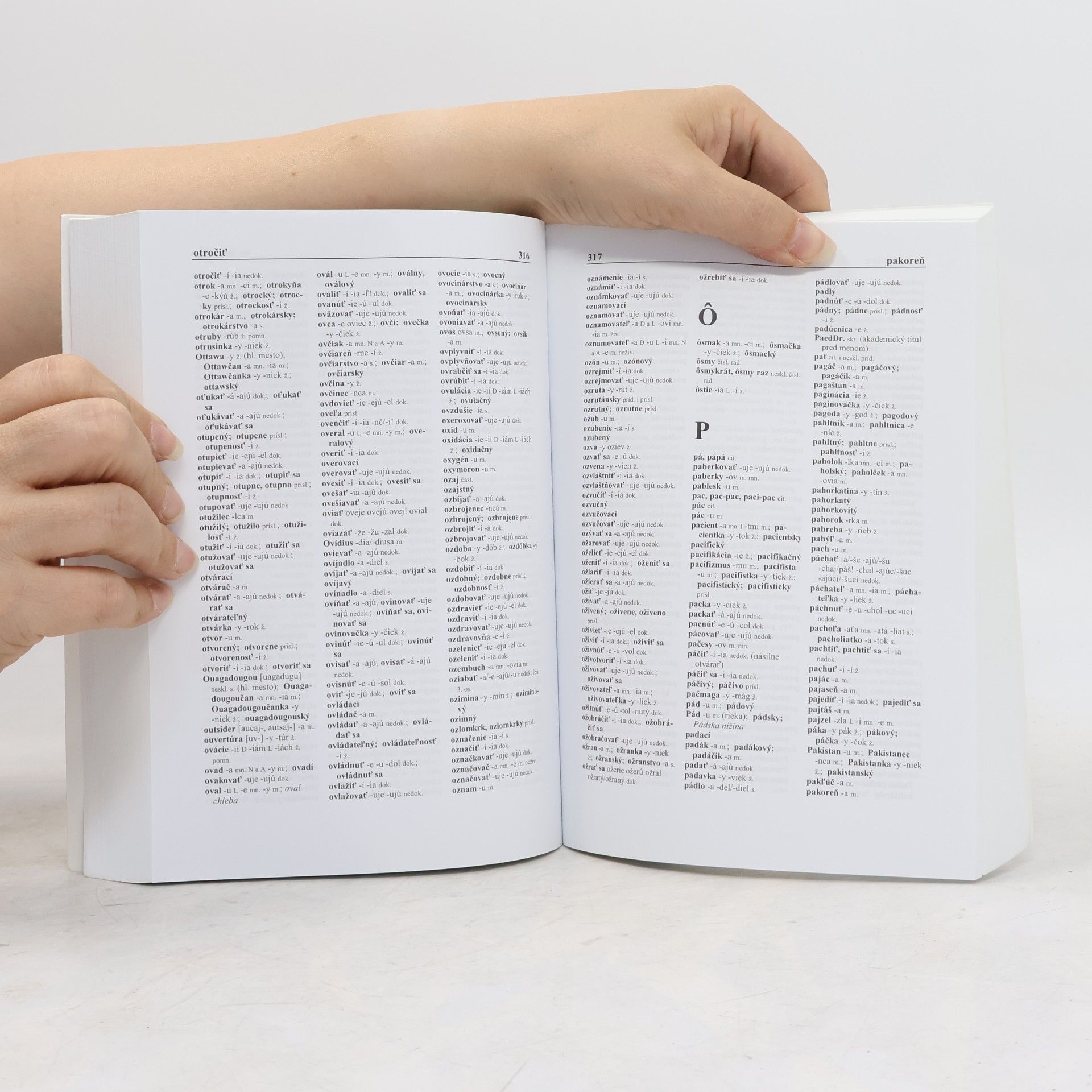 Various authors Pravidlá slovenského pravopisu