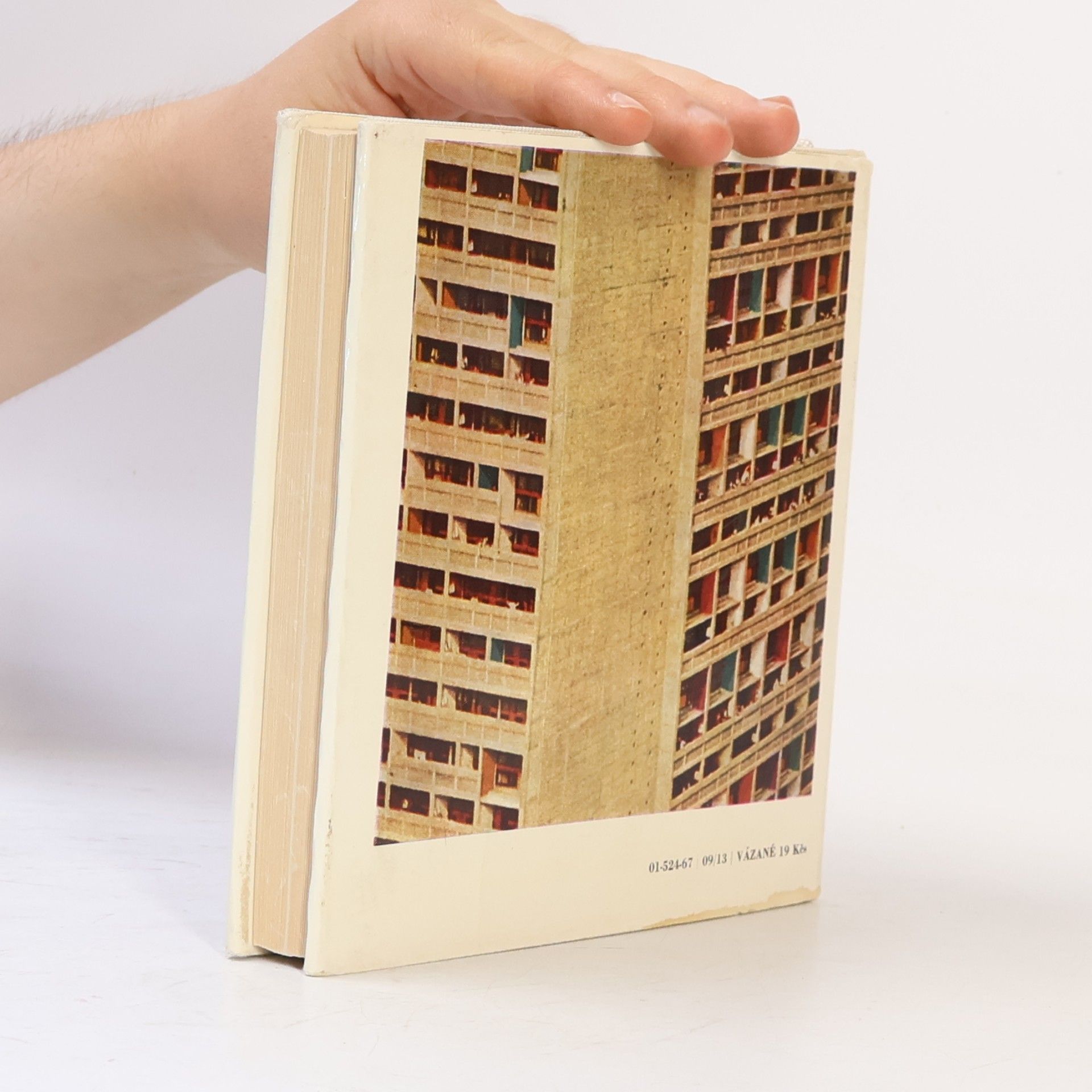 Sophie Daria Le Corbusier. Sociolog urbanismu