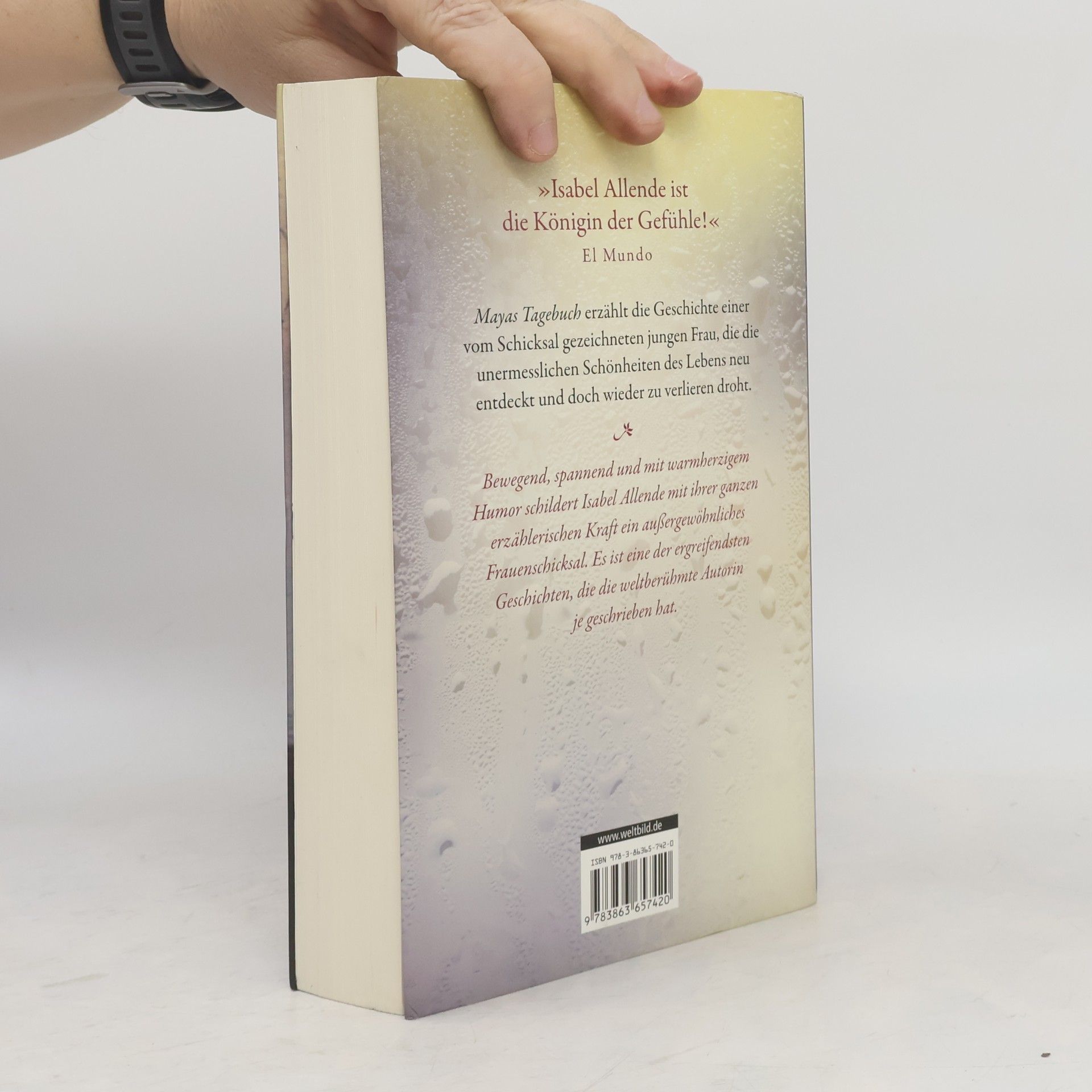 Isabel Allende Mayas Tagebuch