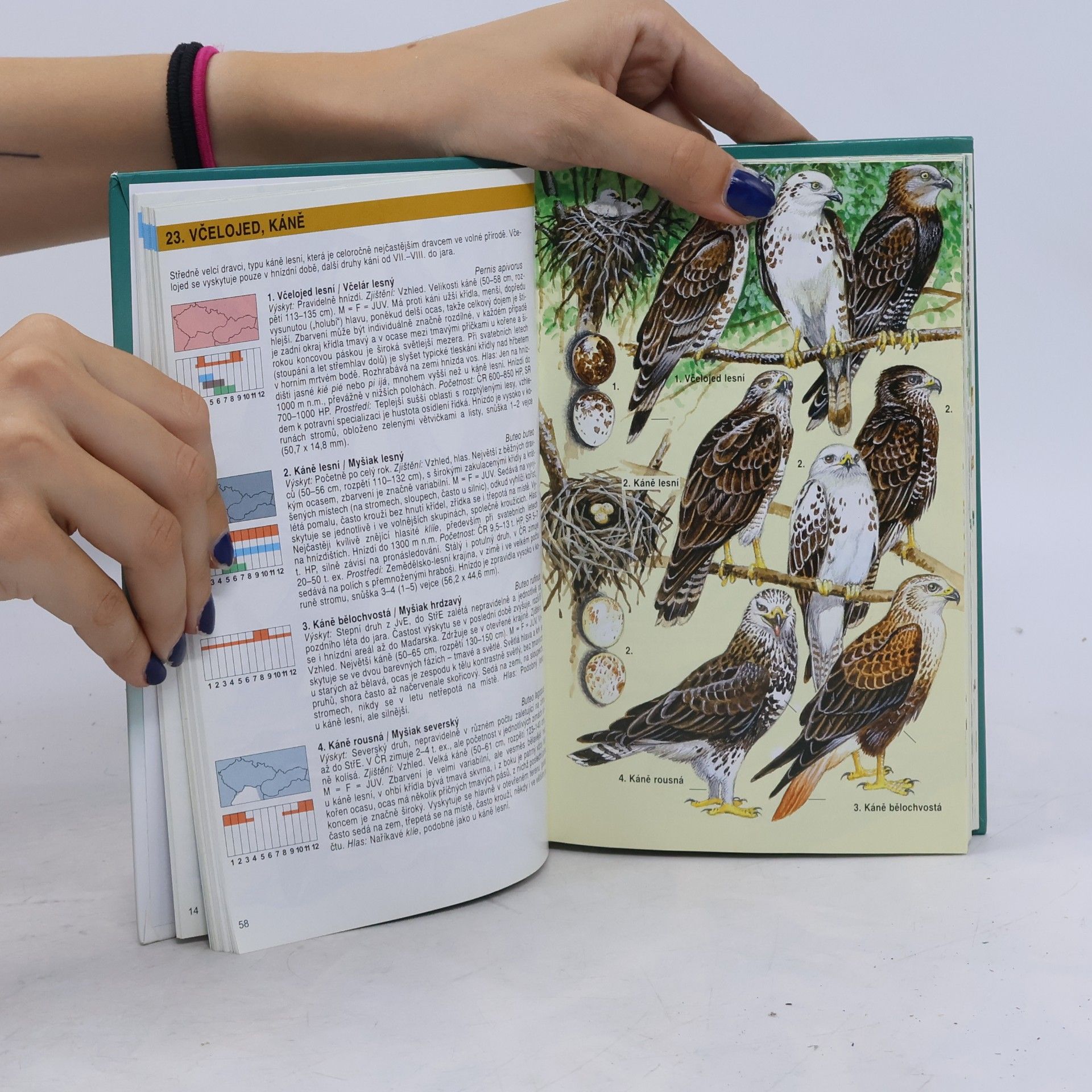 Jan Dungel Atlas ptáků České a Slovenské republiky