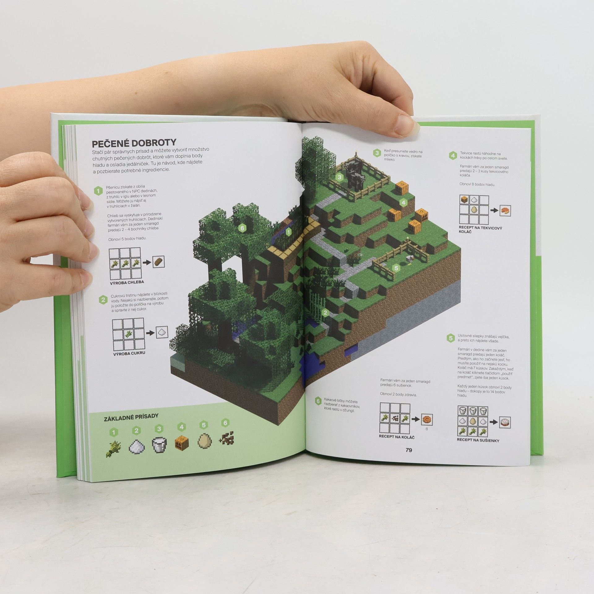 Stephanie Milton Minecraft: Sprievodca svetom prieskumníka