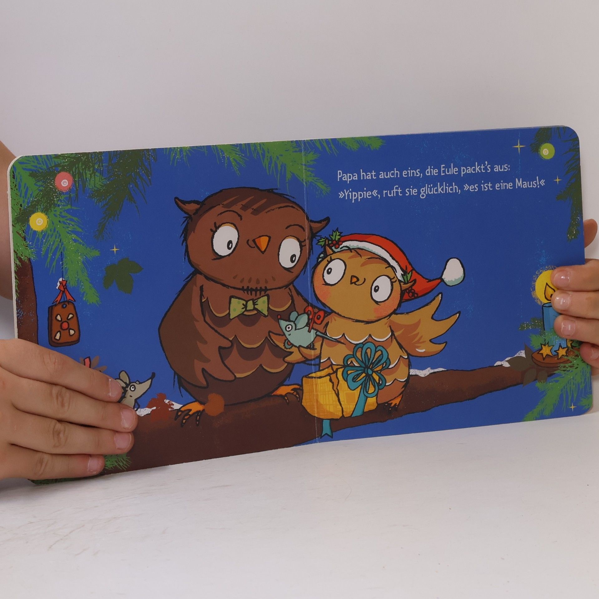 Tanja Jacobs Die kleine Eule feiert Weihnachten