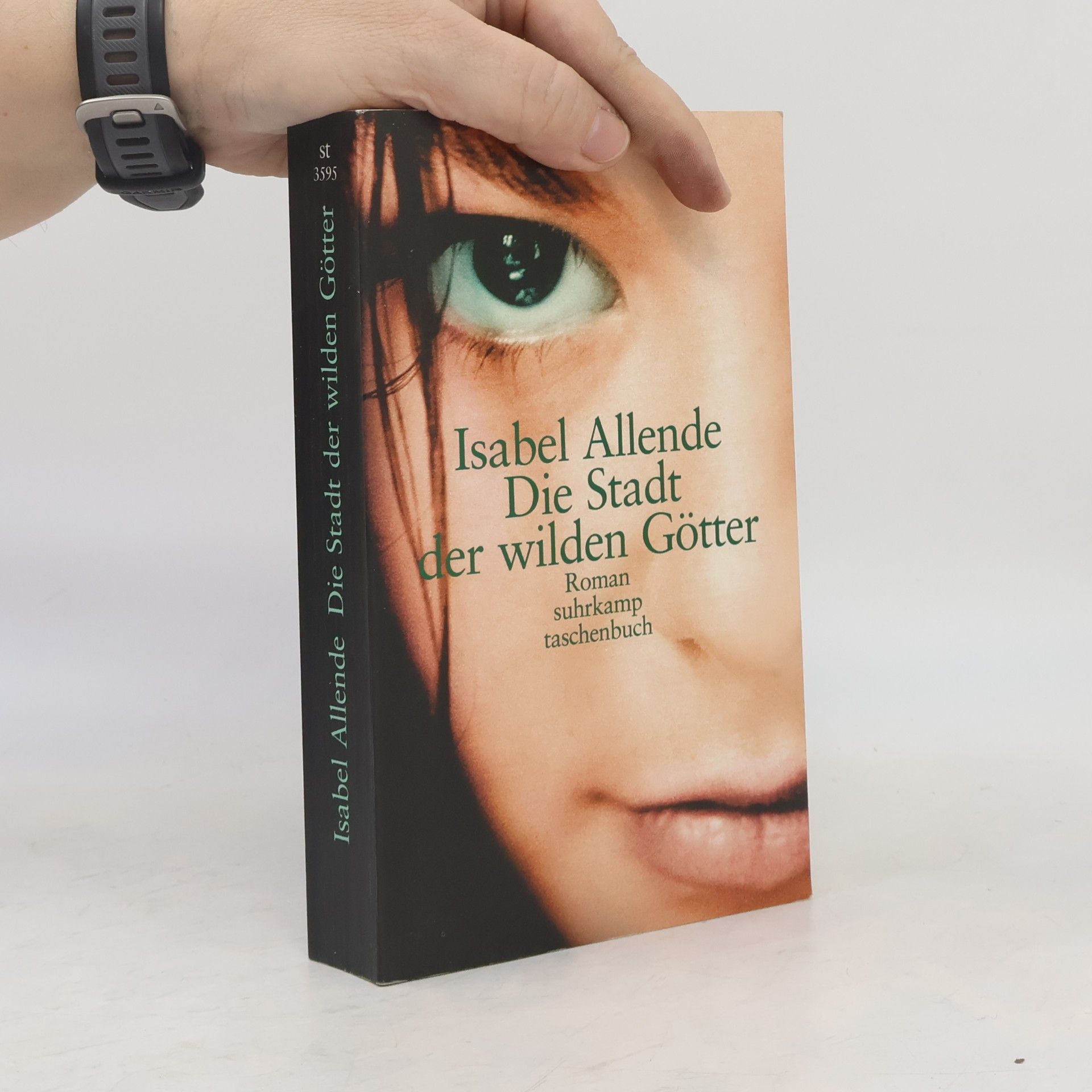 Isabel Allende Die Stadt der wilden Götter