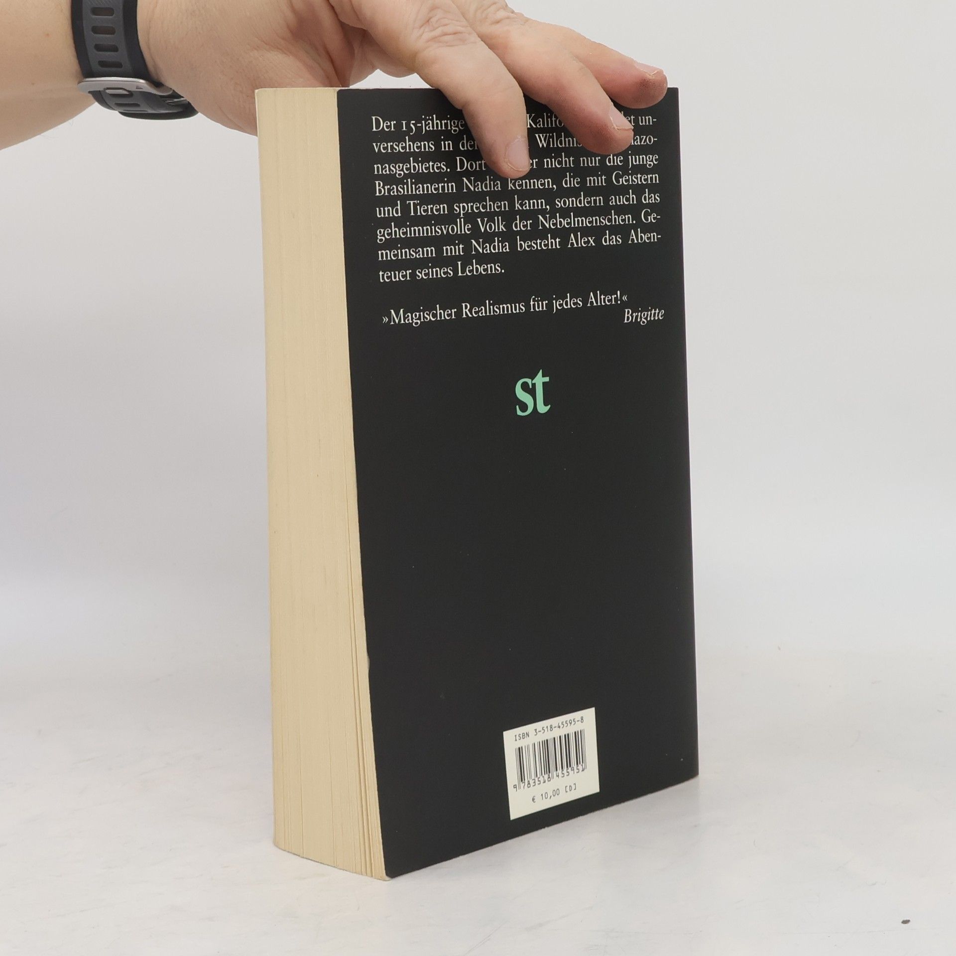 Isabel Allende Die Stadt der wilden Götter