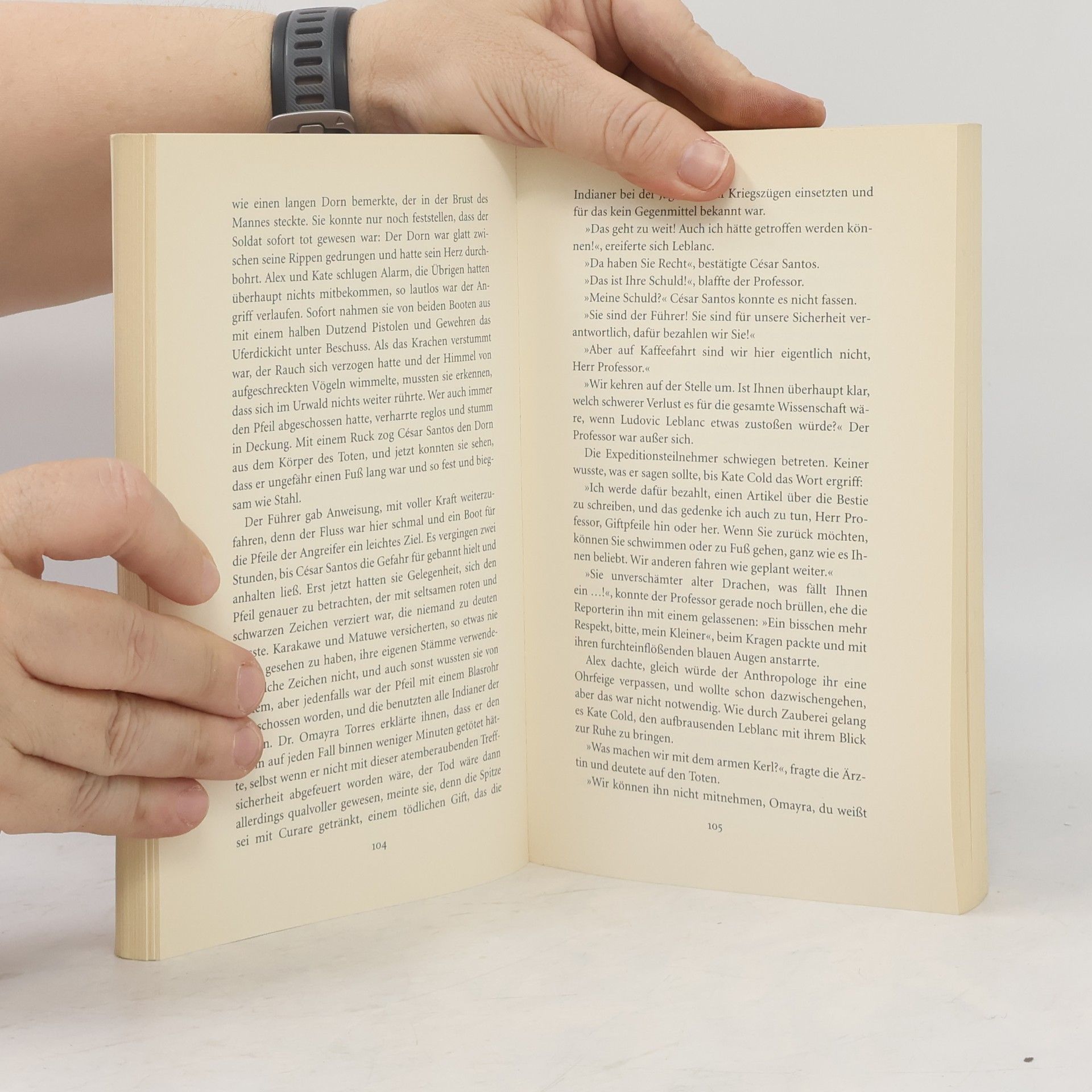 Isabel Allende Die Stadt der wilden Götter