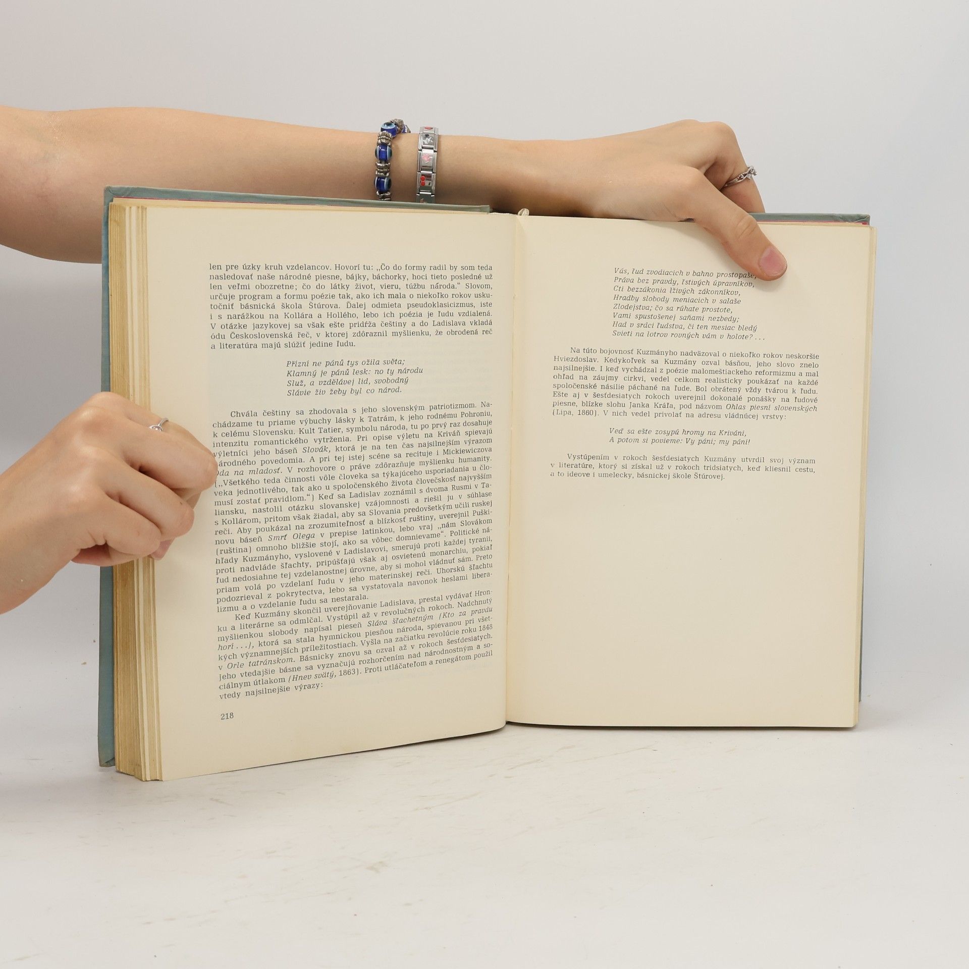 Milan Pišút Dejiny slovenskej literatúry