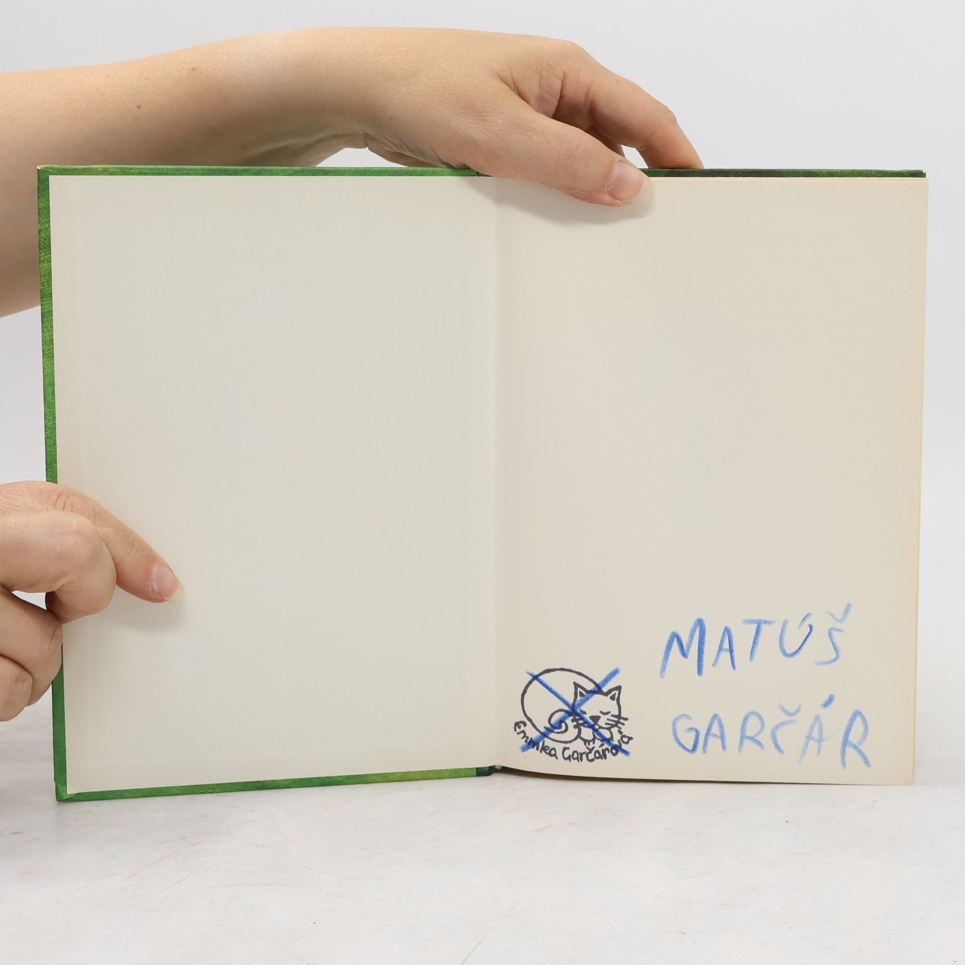 Jeff Kinney Denník odvážného bojka - Posledná kvapka