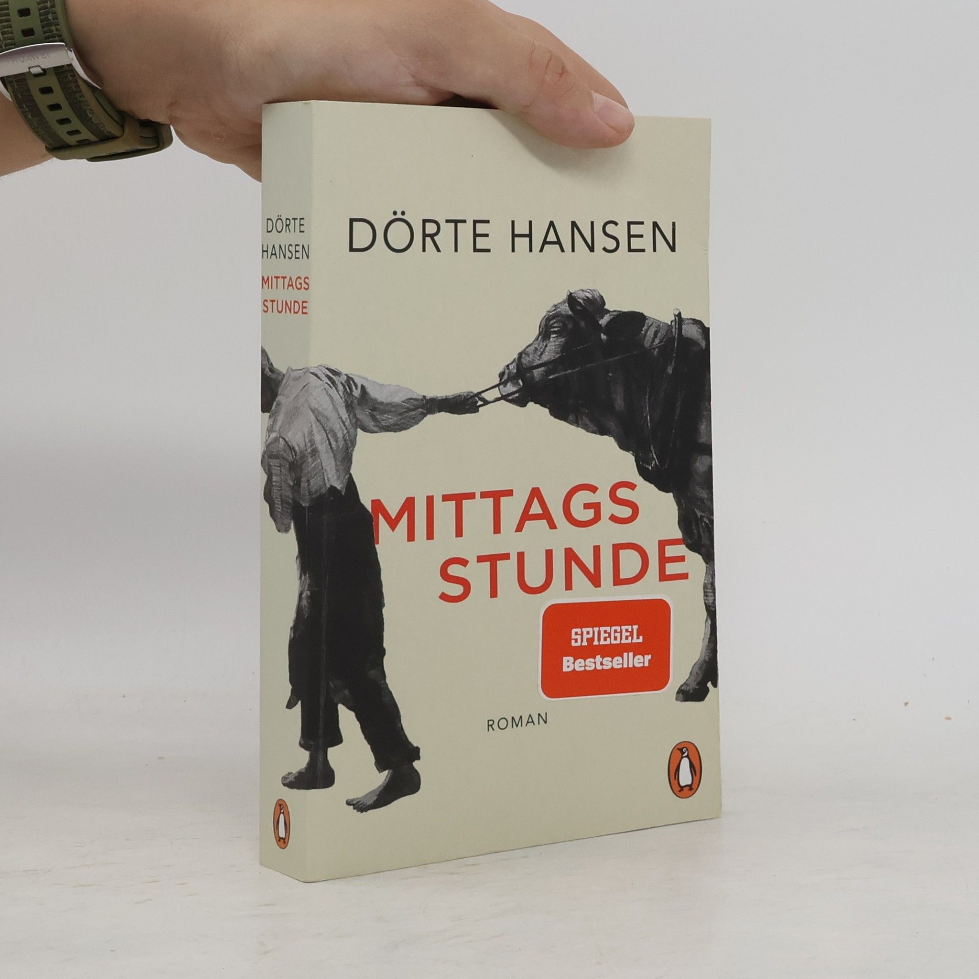 Dörte Hansen Mittagsstunde