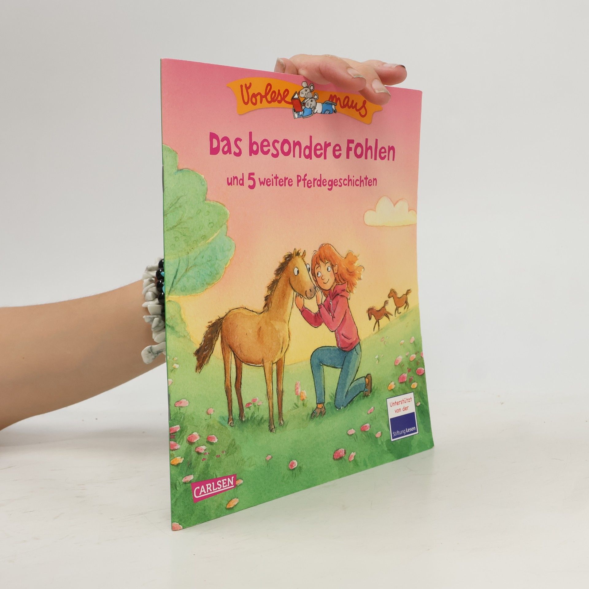 Luise Holthausen Das besondere Fohlen und 5 weitere Pferdegeschichten