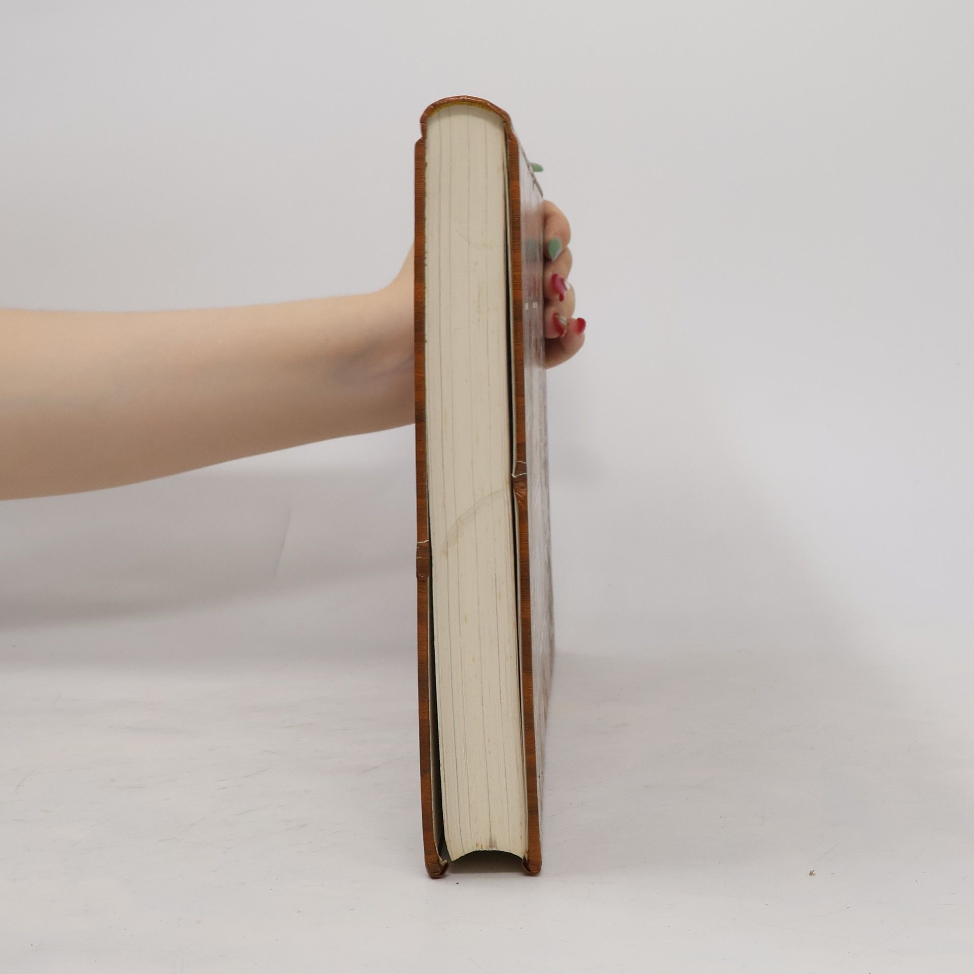 Hermann Bischoff Haus & Hobby: Heimwerker Handbuch