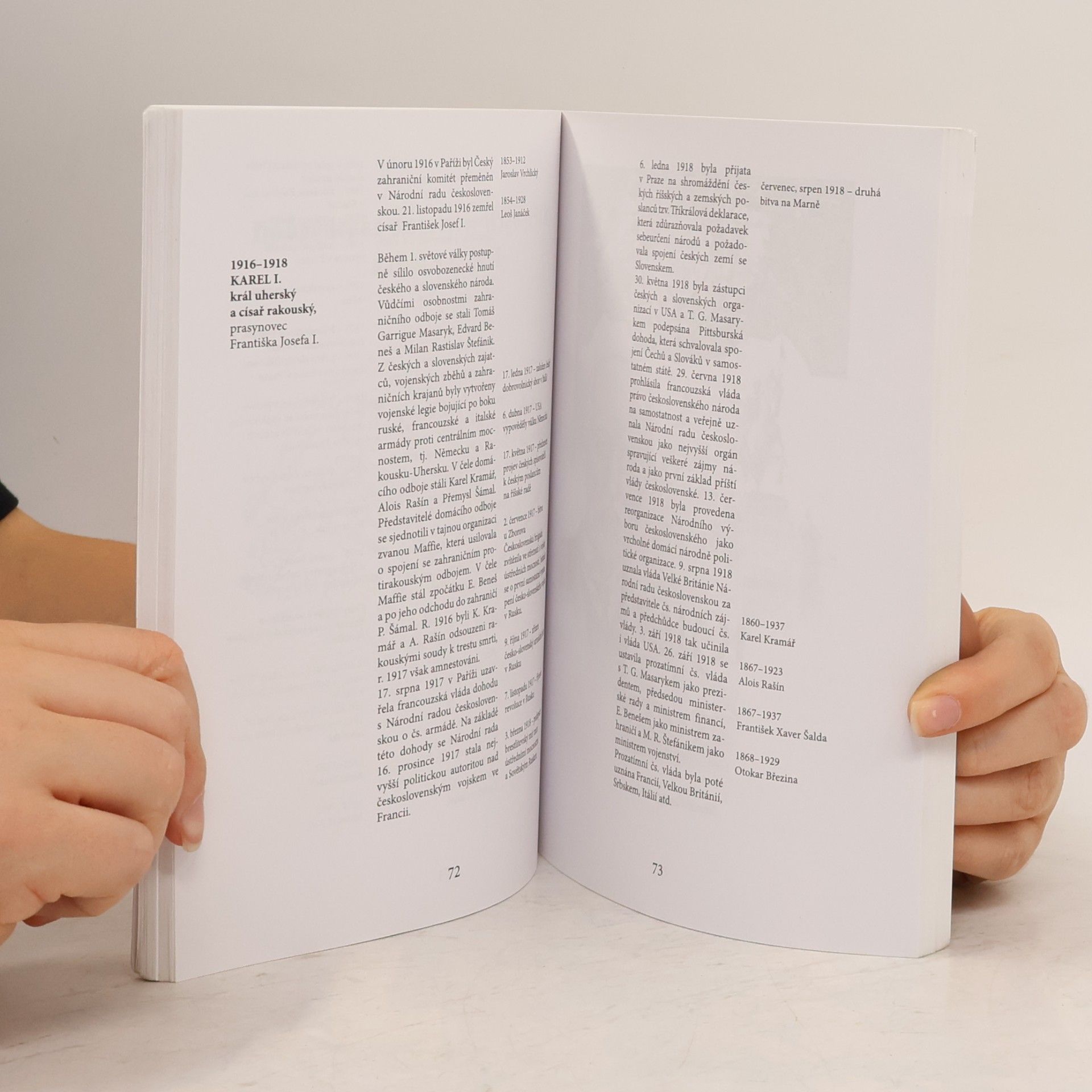 Autorenkollektiv České dějiny. Stručný přehled