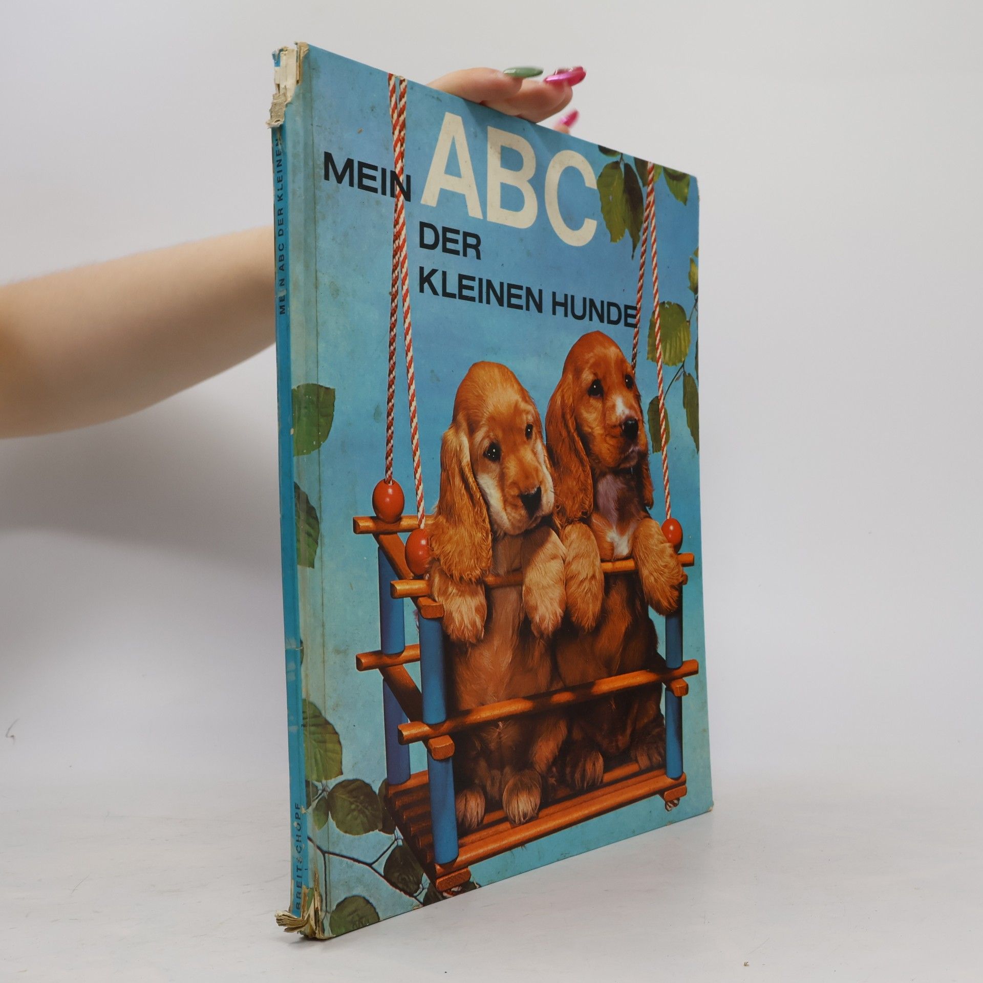 Kolektiv autorů Mein ABC der kleinen Hunde