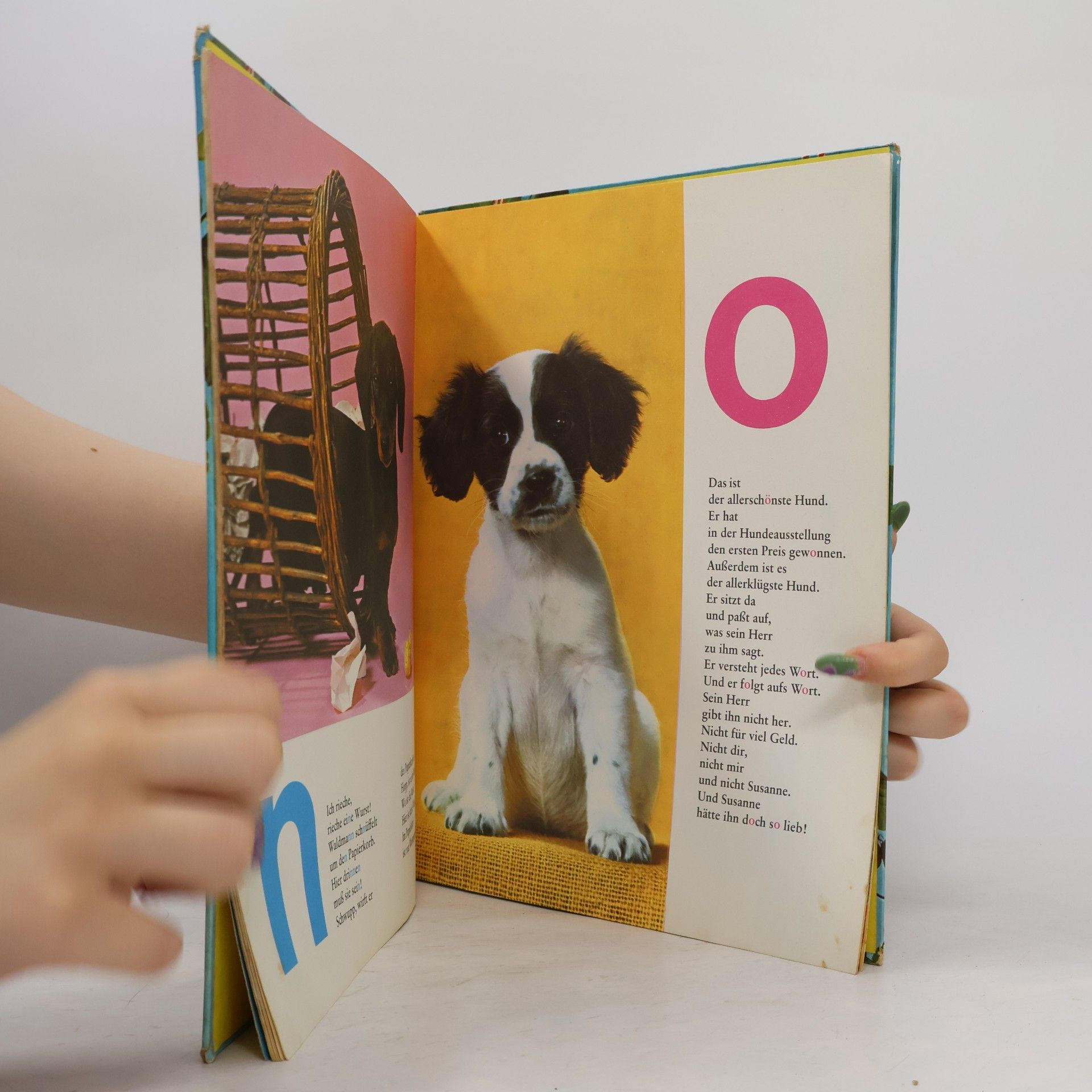 Kolektiv autorů Mein ABC der kleinen Hunde