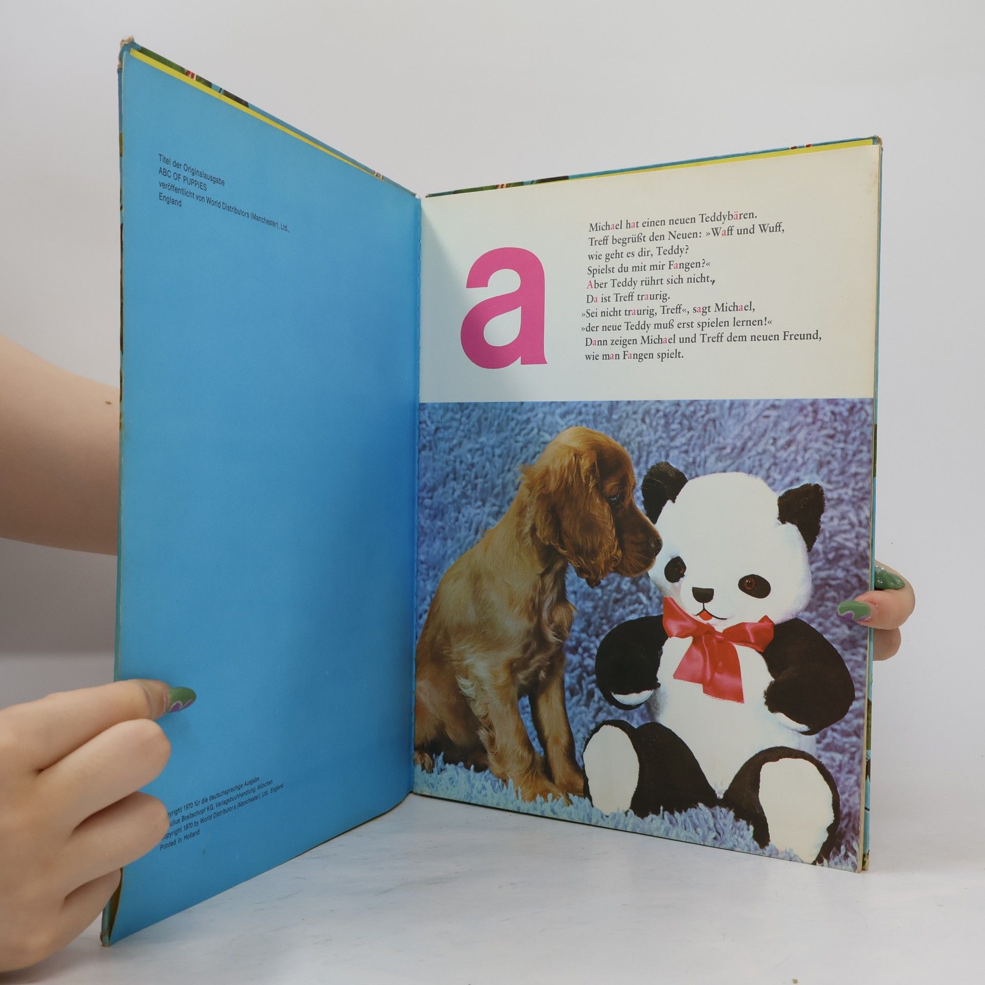 Kolektiv autorů Mein ABC der kleinen Hunde