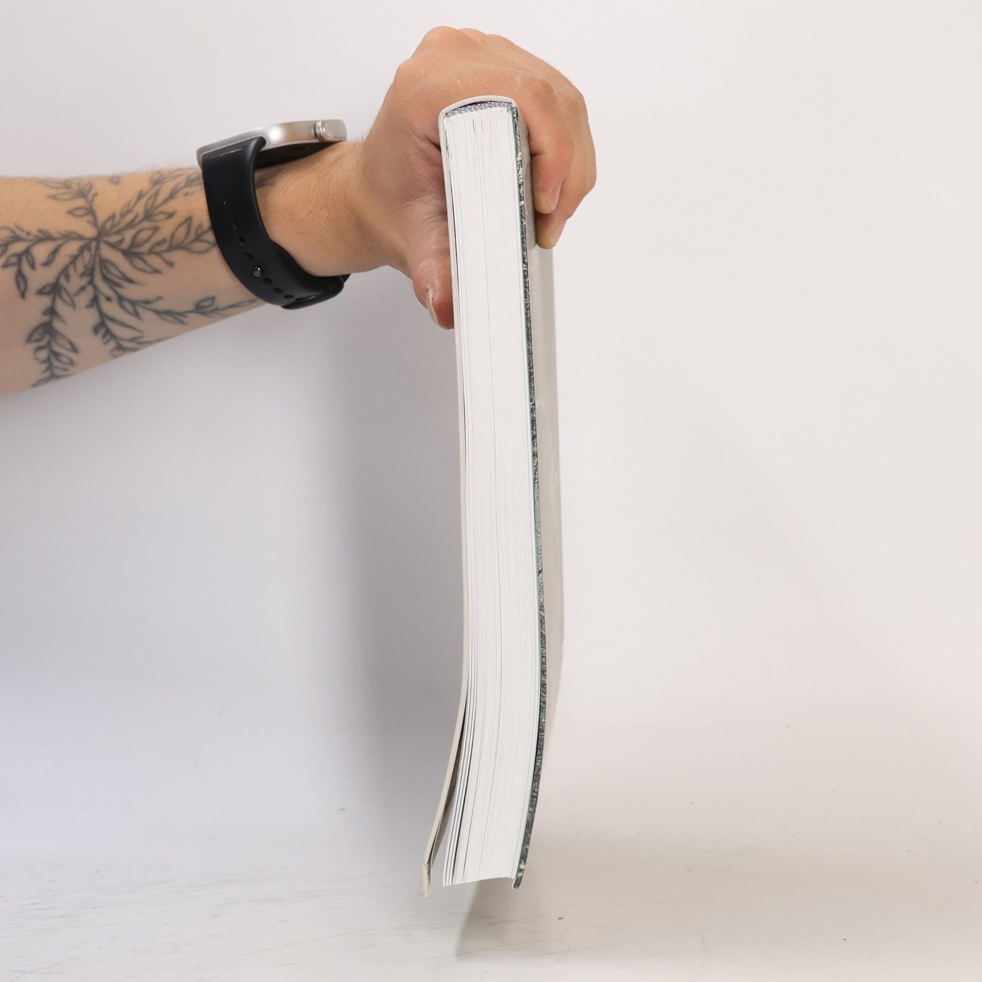 Kolektiv autorů Plzeňské rodinné fotoalbum