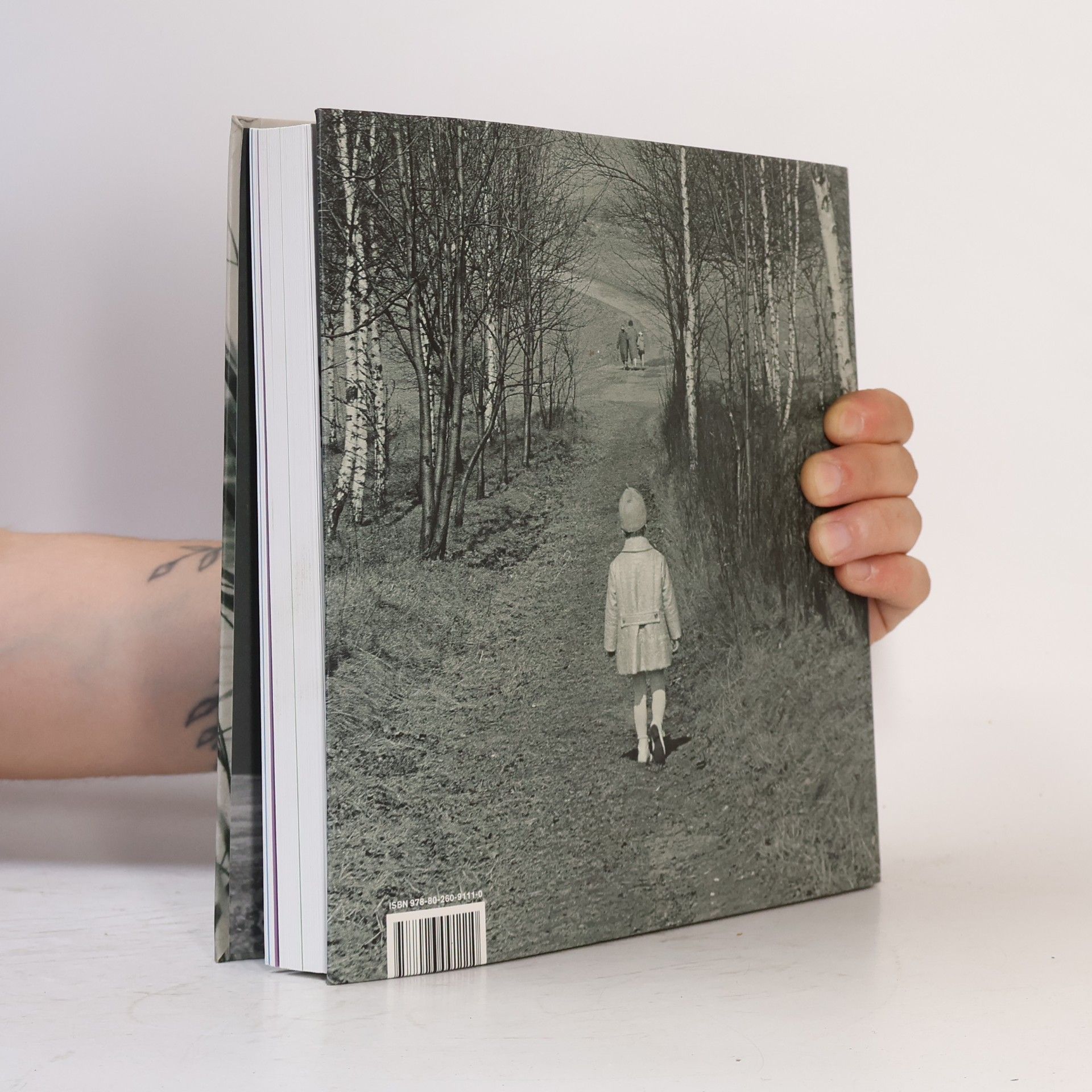 Kolektiv autorů Plzeňské rodinné fotoalbum