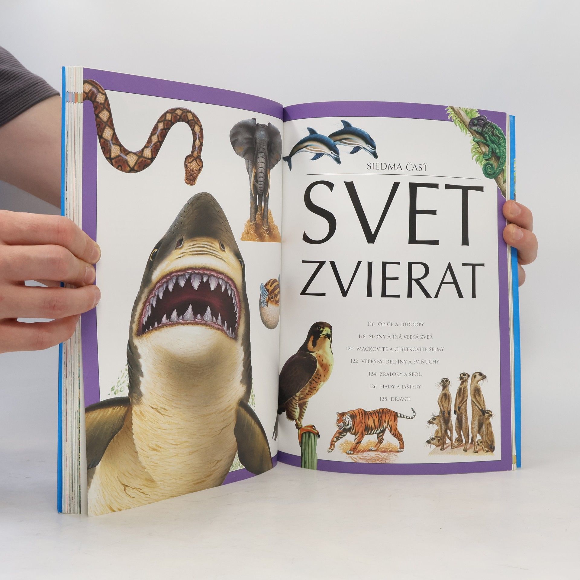 Autorenkollektiv Náš svet