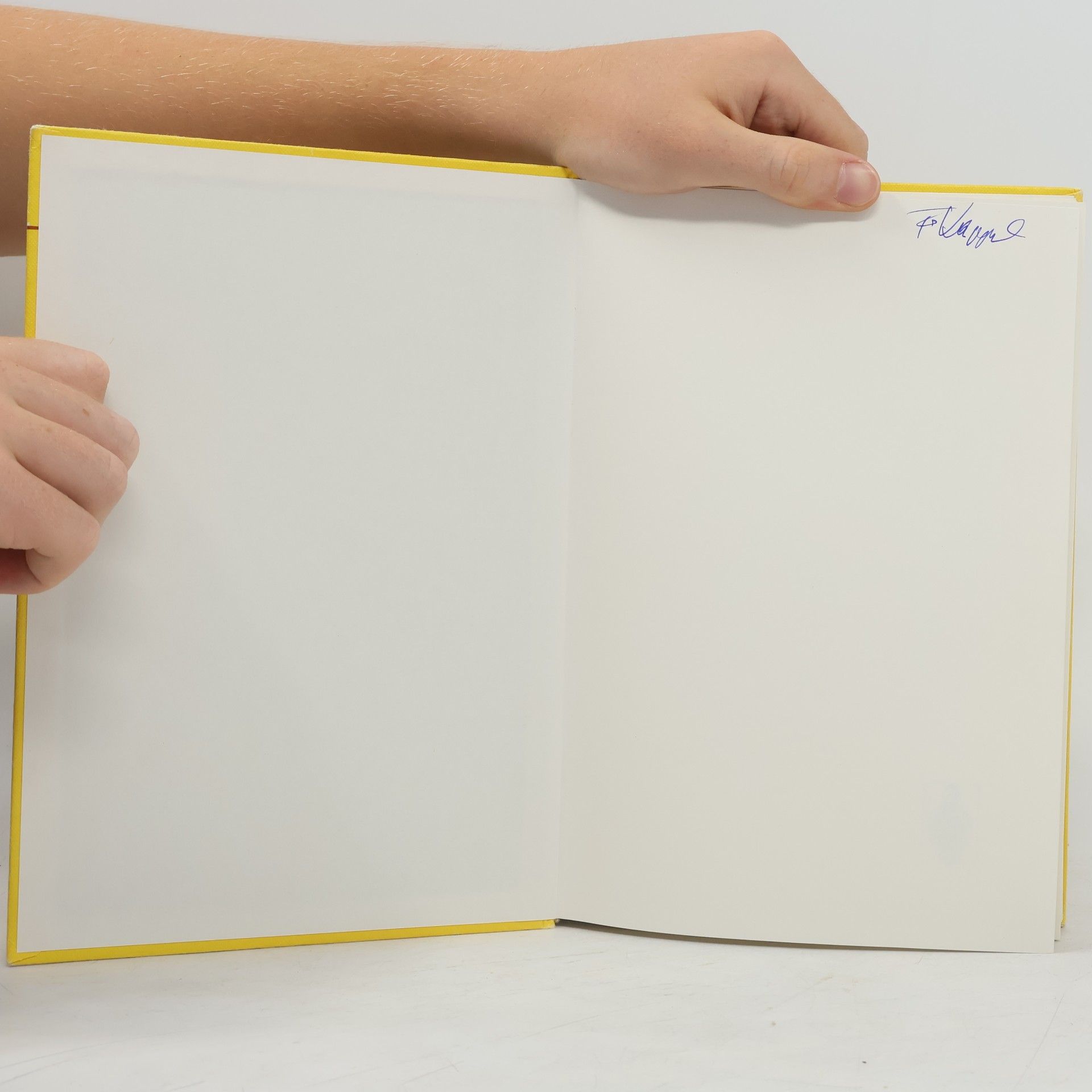 Hans W. Knobloch Lineare Kontrolltheorie