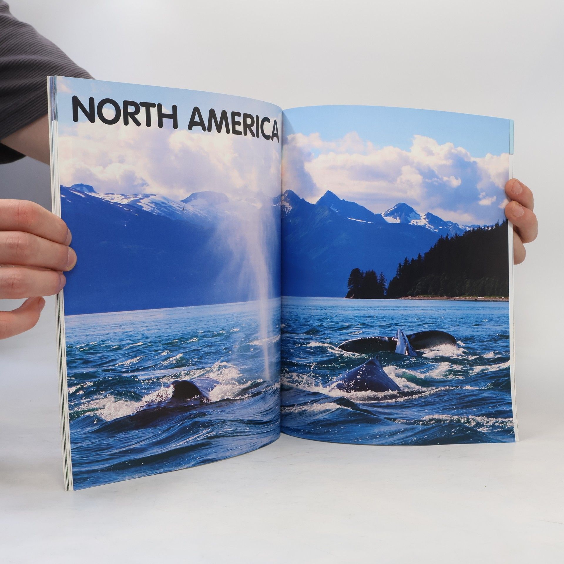 My First Book of the Wonders of the World