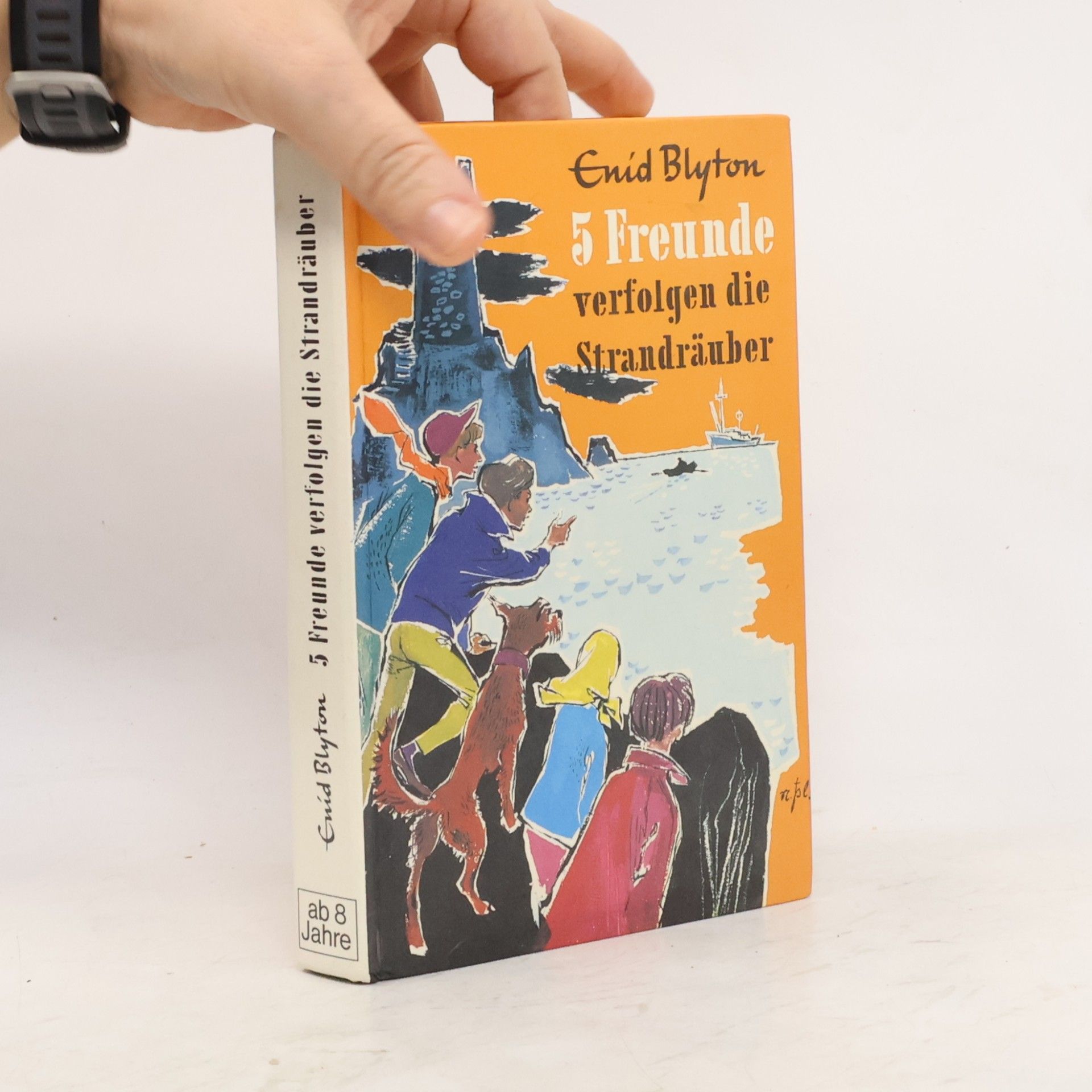 Enid Blyton 5 Freunde verfolgen die Strandräuber