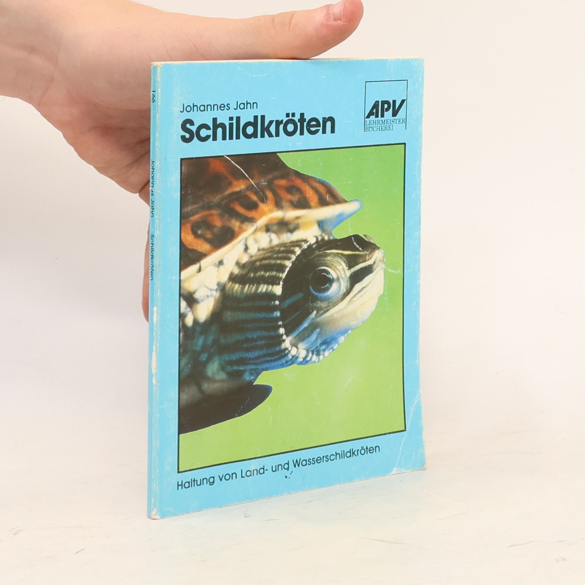 Schildkröten