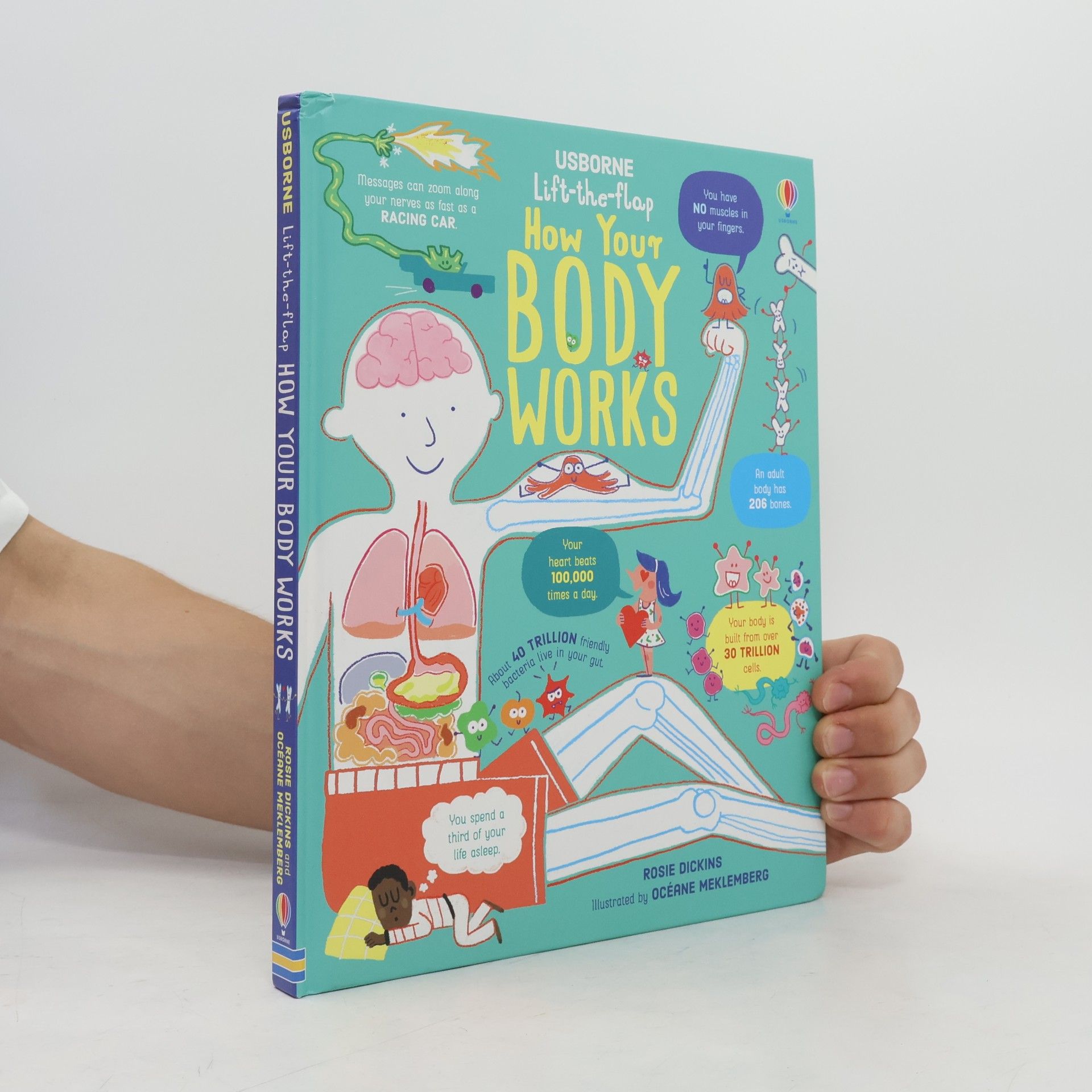 Océane Meklemberg Lift-the-Flap How Your Body Works
