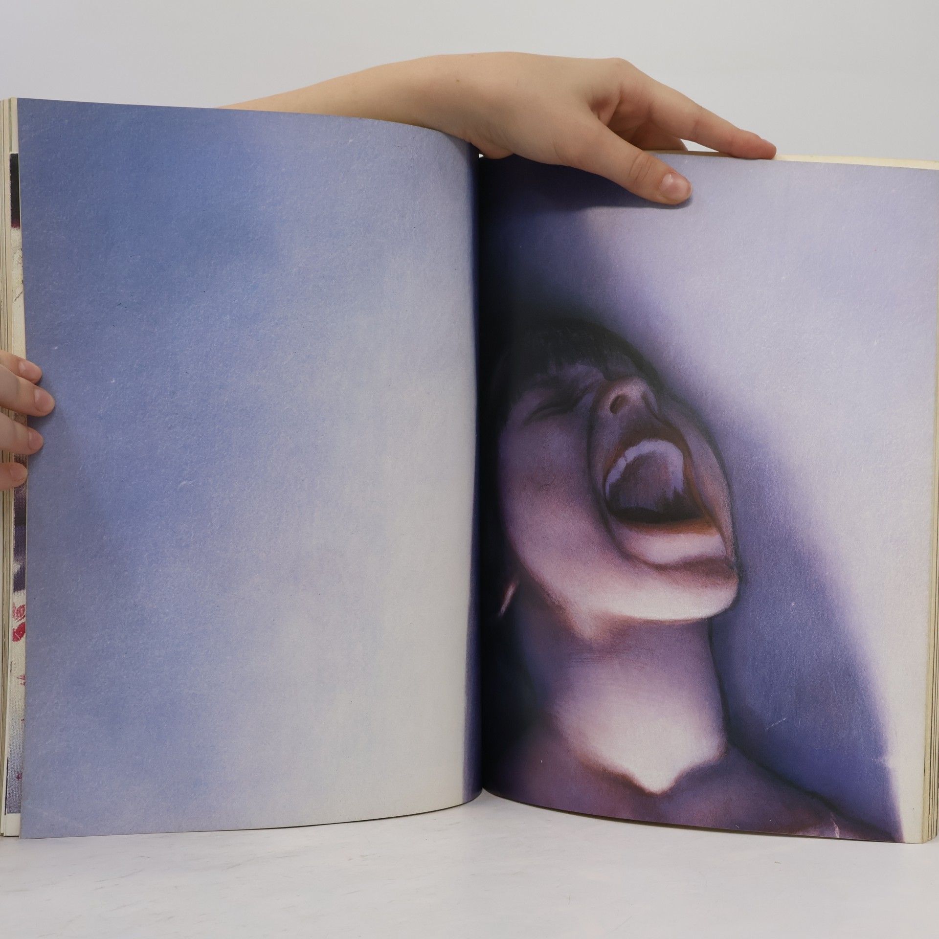 Gottfried Helnwein Helnwein