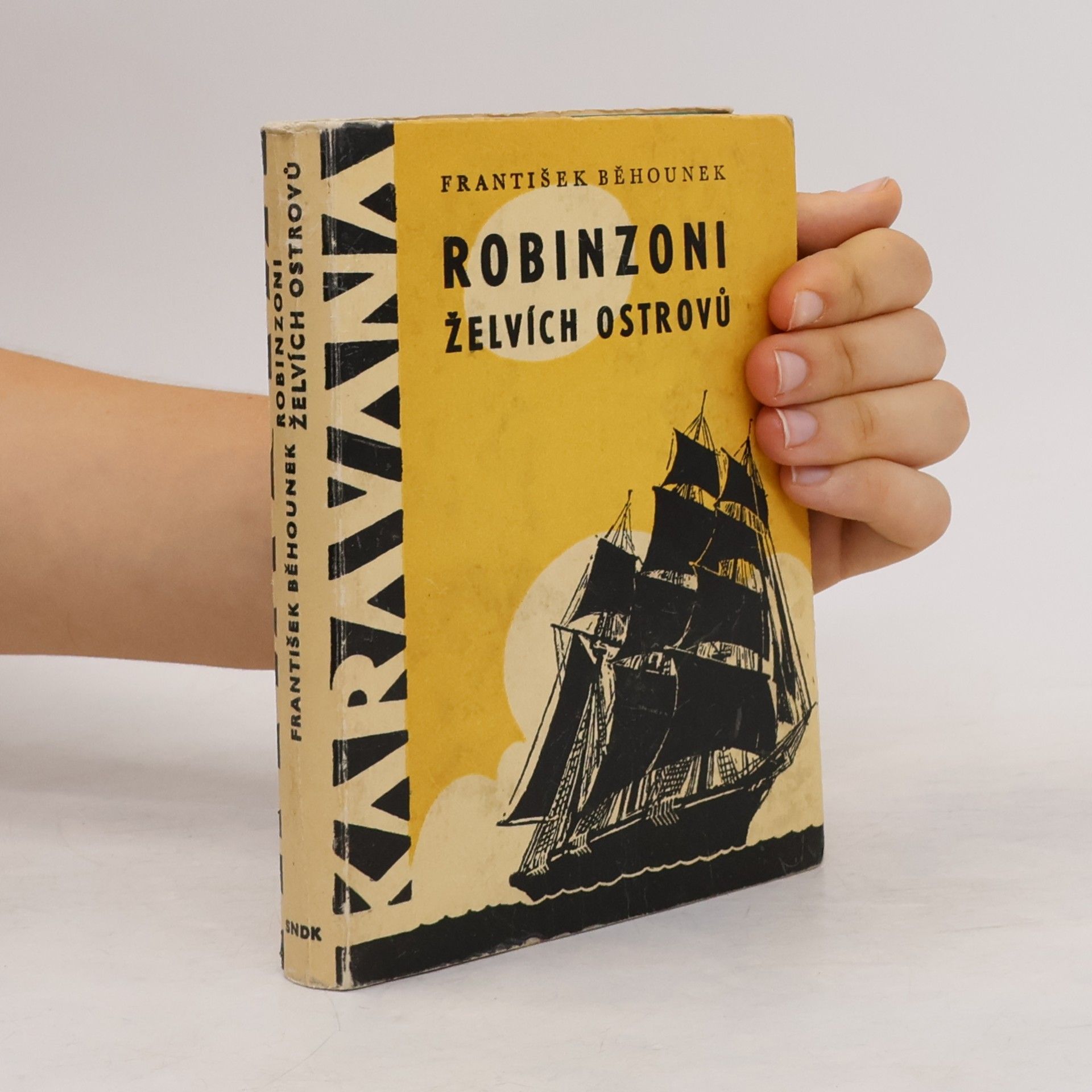 Robinzoni Želvích ostrovů