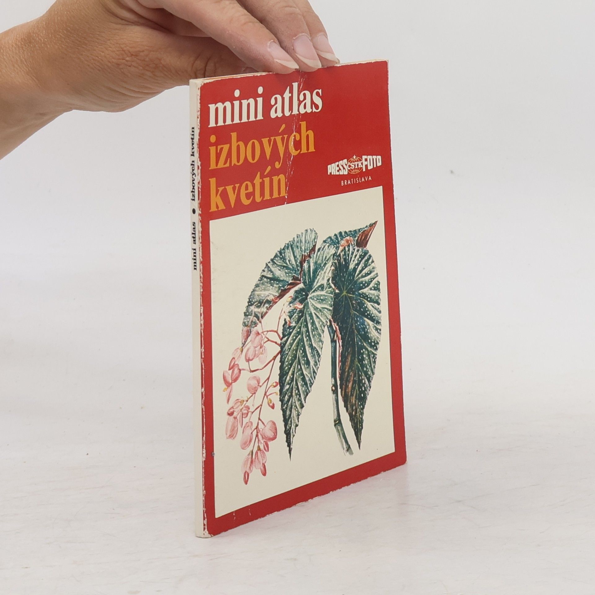 Autorenkollektiv Mini atlas izbových kvetín