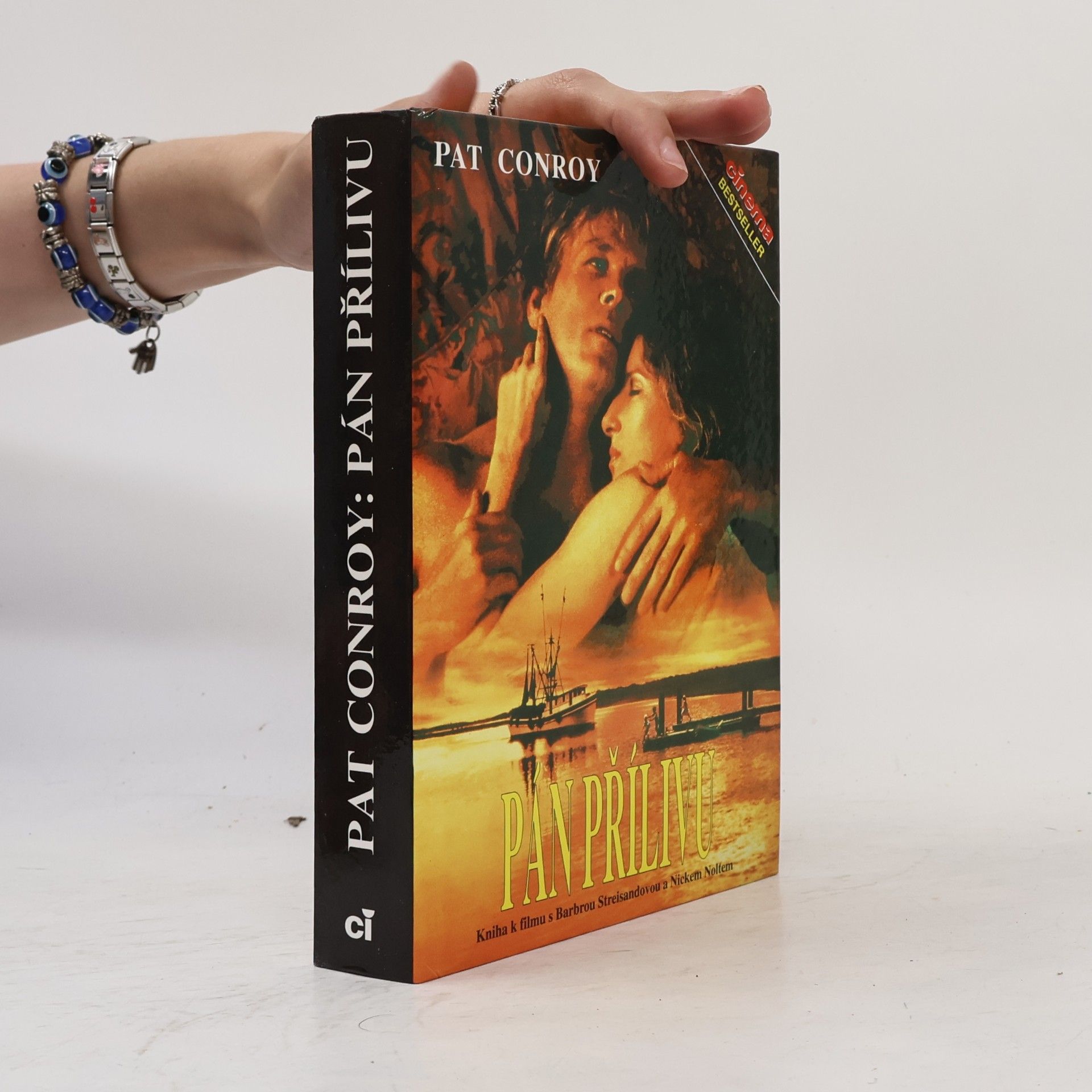 Pat Conroy Pán přílivu