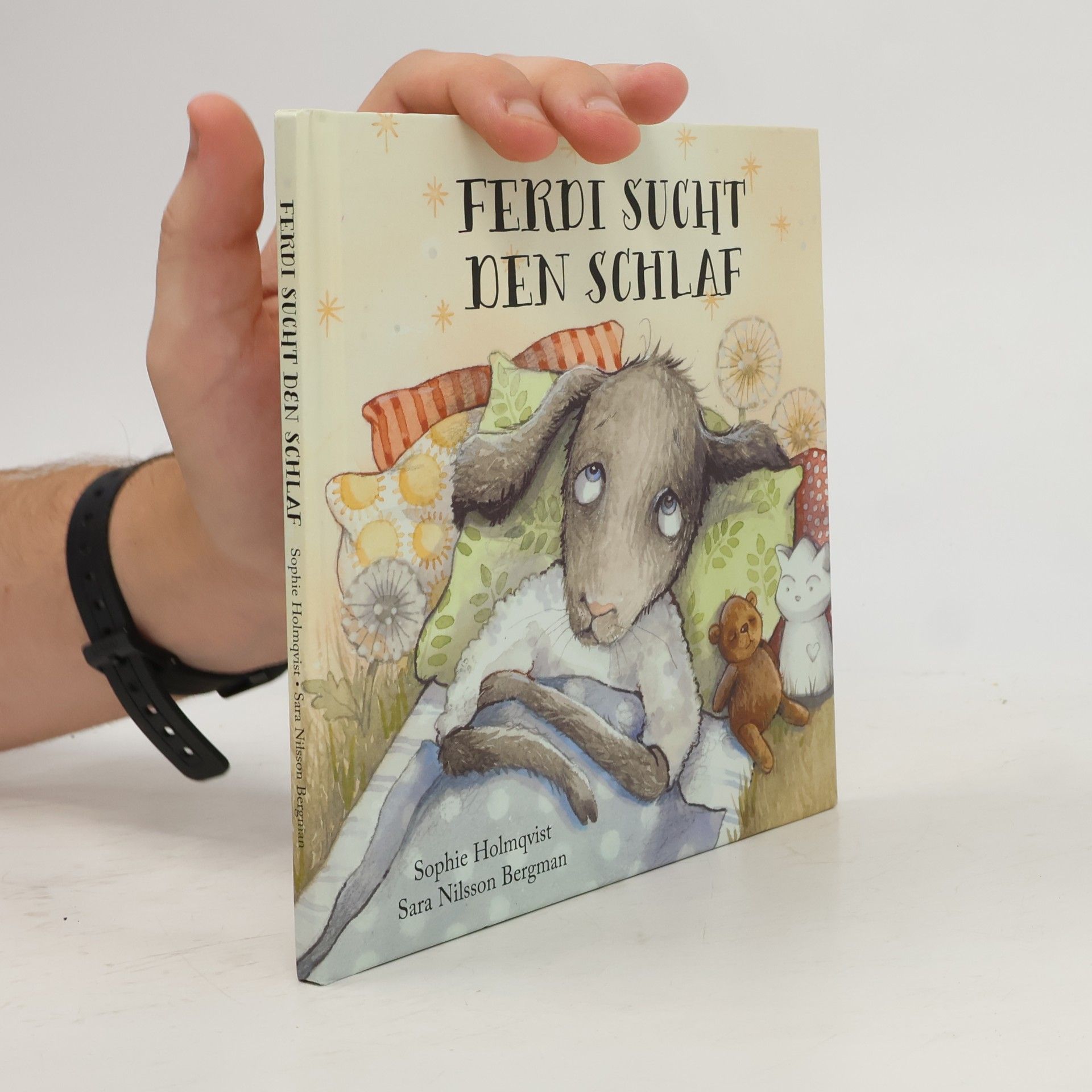 Sophie Holmqvist Ferdi Sucht den Schlaf
