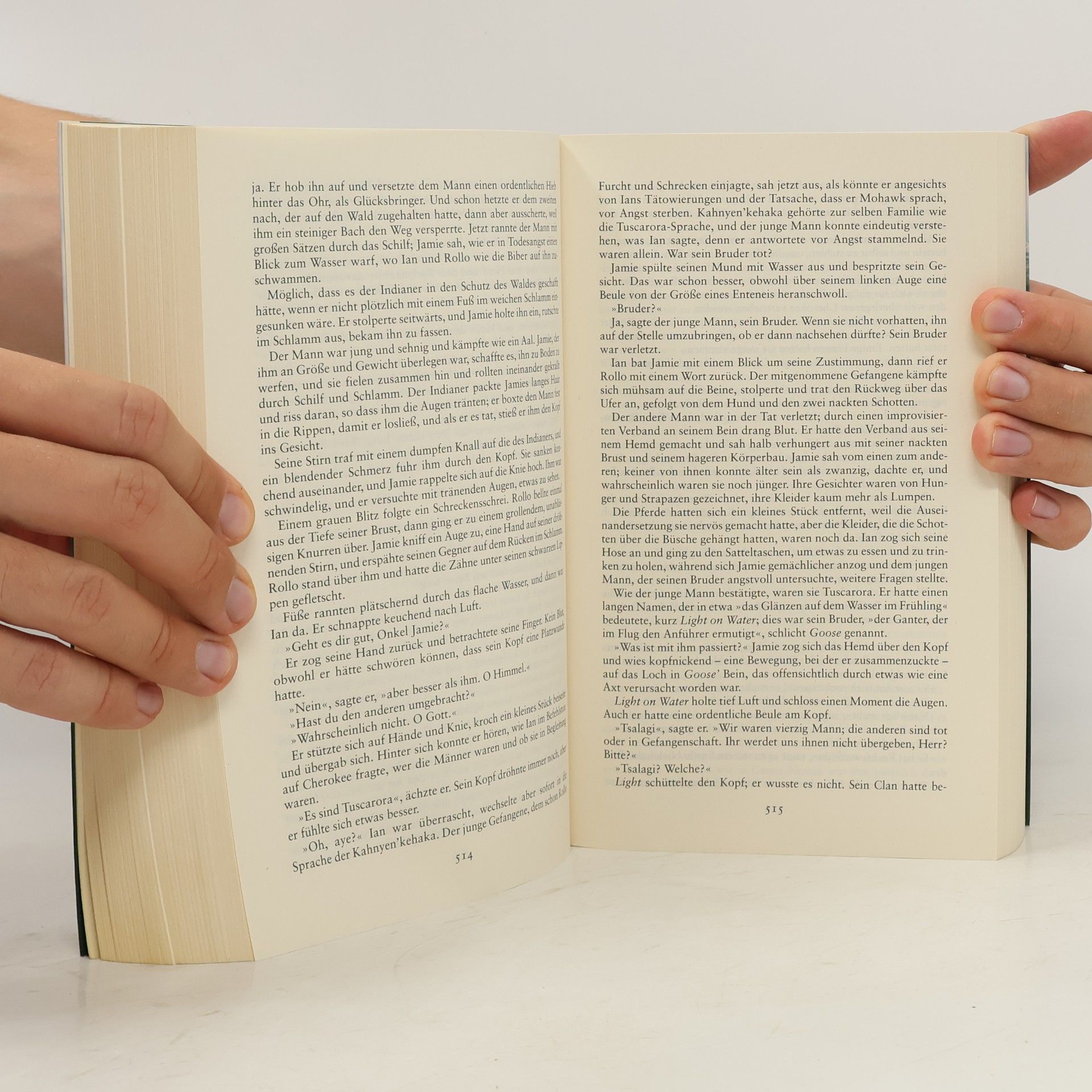 Diana Gabaldon Ein Hauch von Schnee und Asche