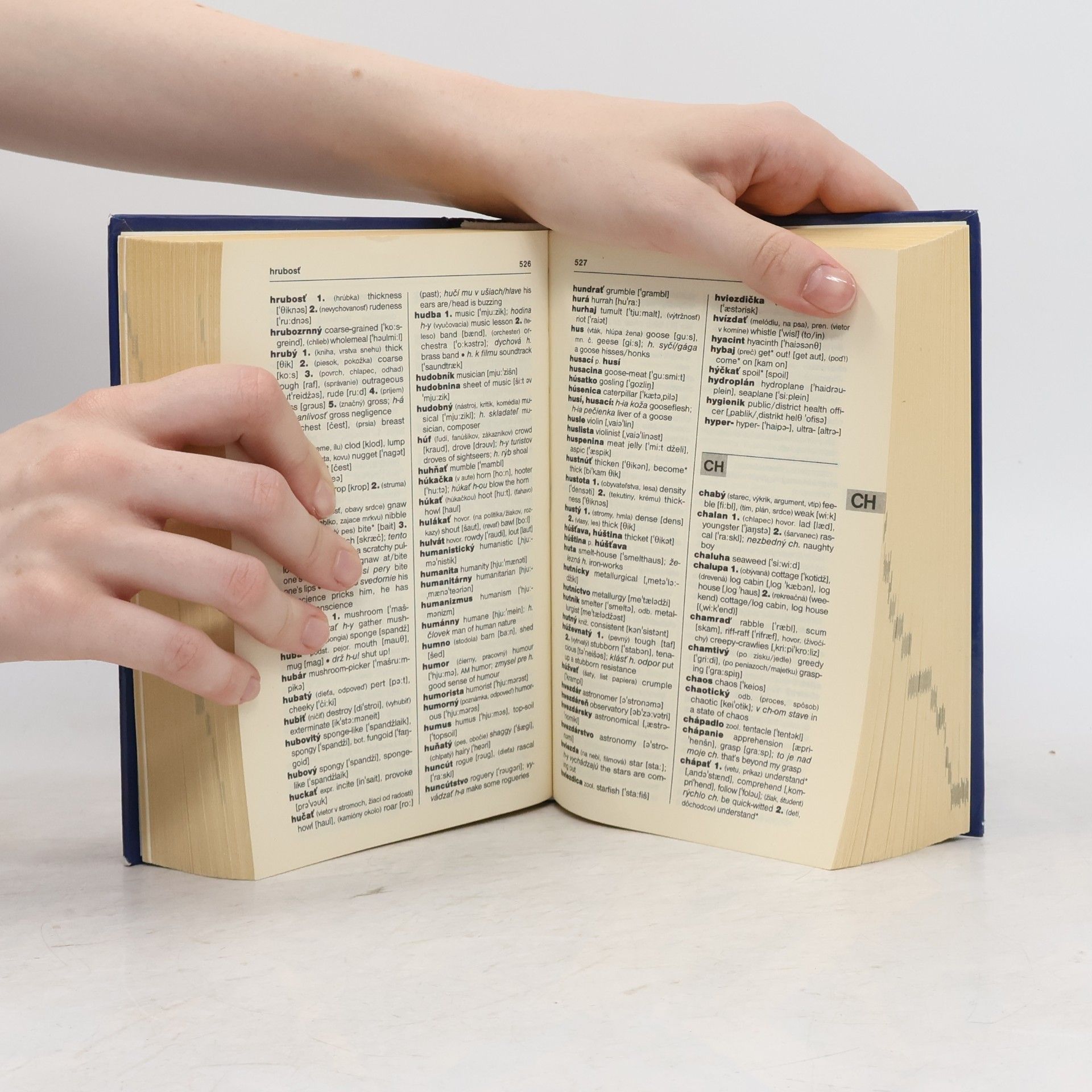 Erna Haraksimová Anglicko-slovenský, slovensko-anglický praktický slovník = English-Slovak, Slovak-English practical dictionary
