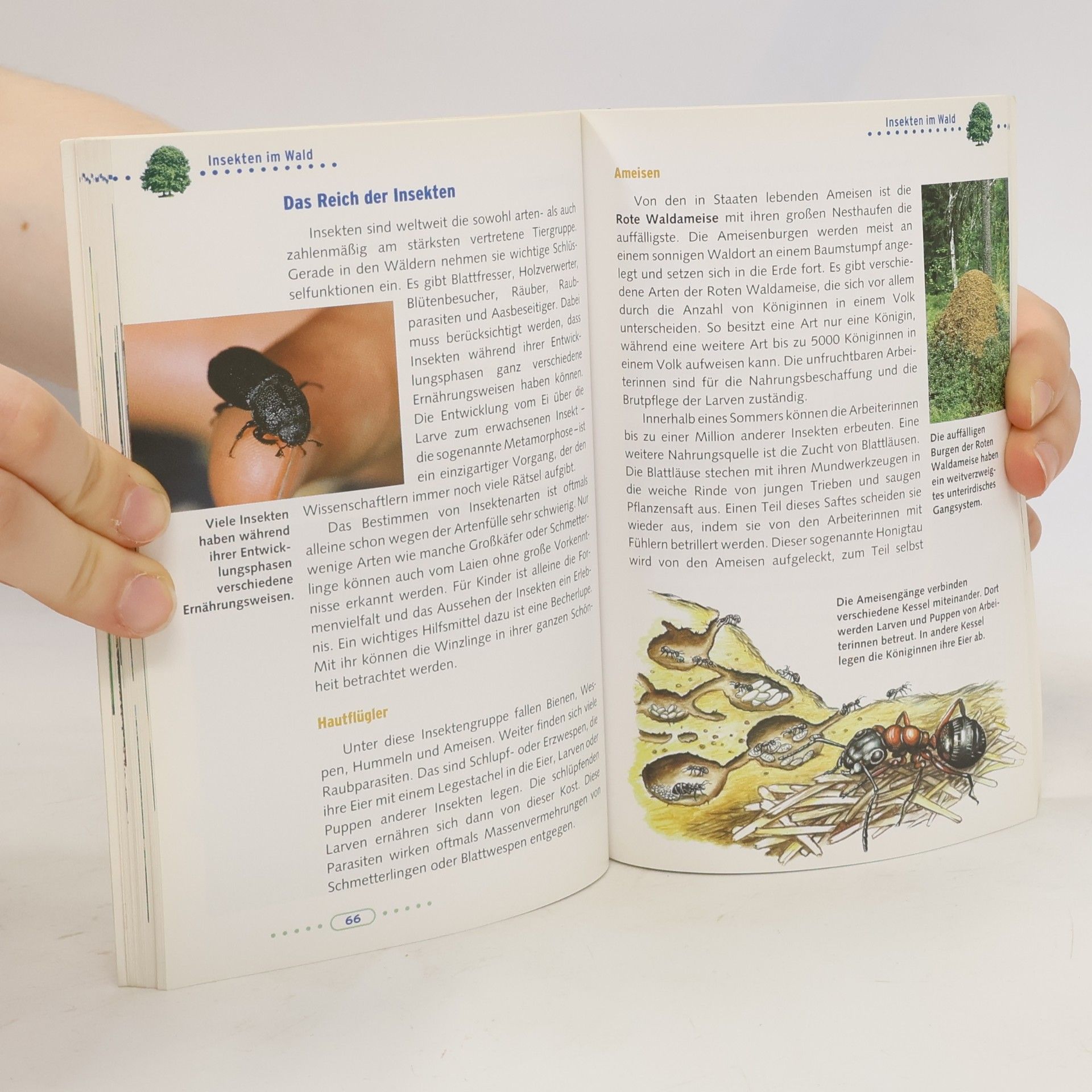 Preben Bang Tierspuren