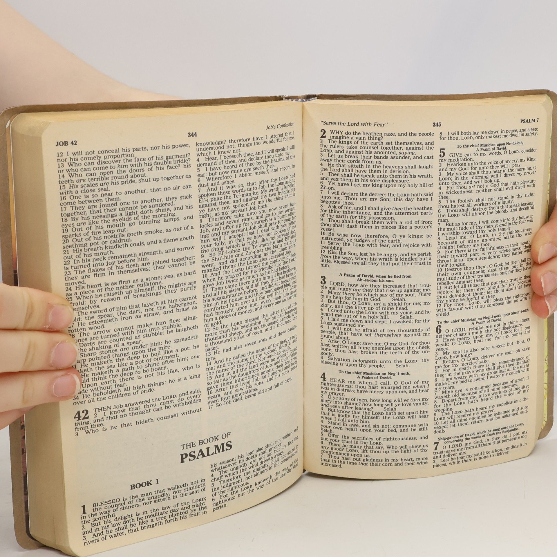 Autorenkollektiv The Holy Bible