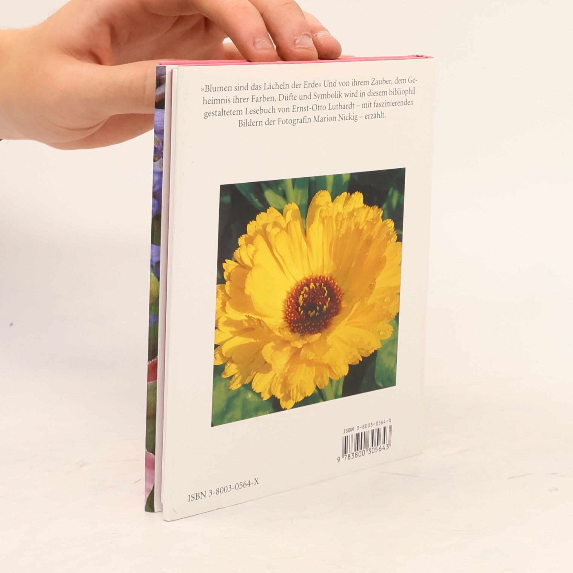 Marion Nickig Mit Blumen sprechen