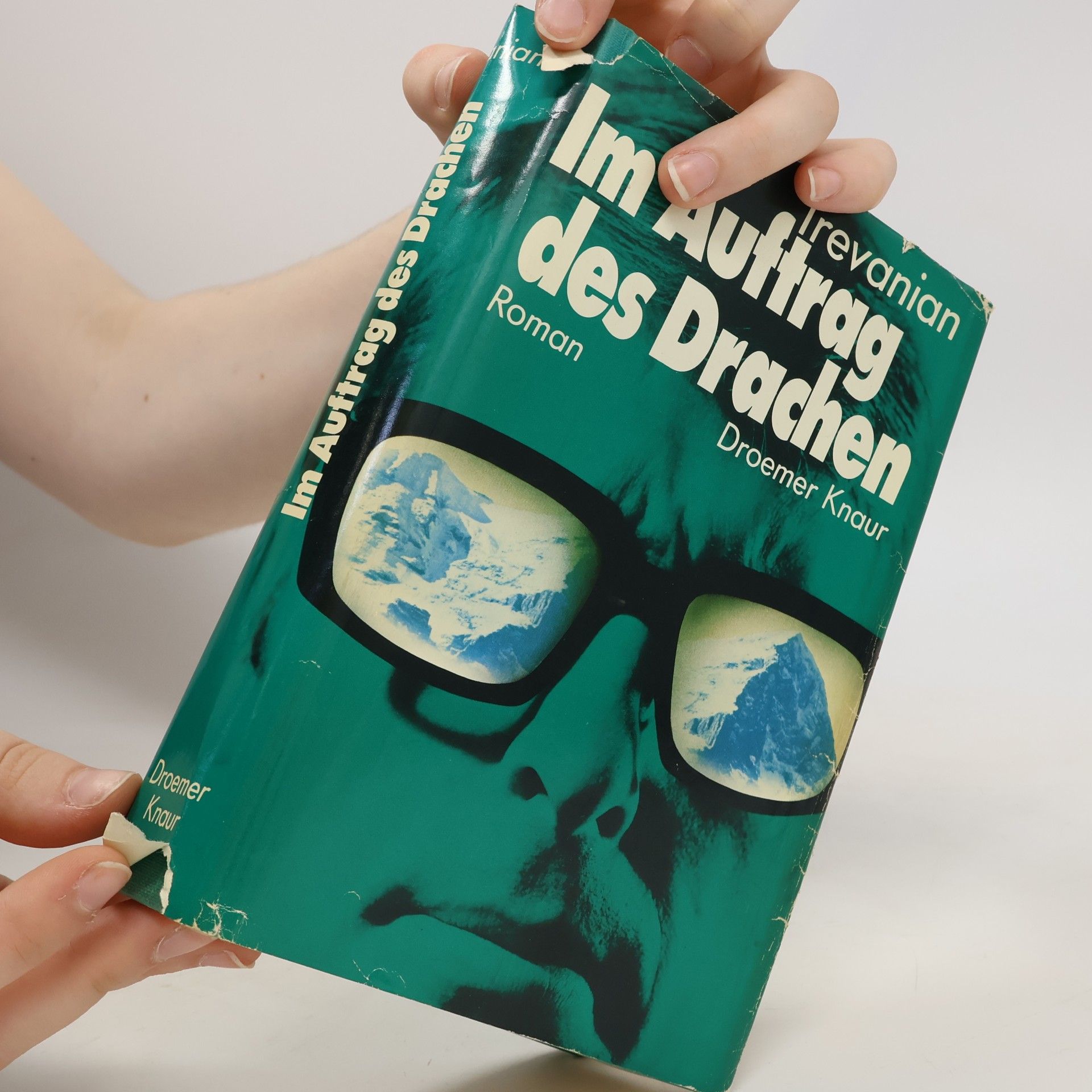 Trevanian Im Auftrag des Drachen