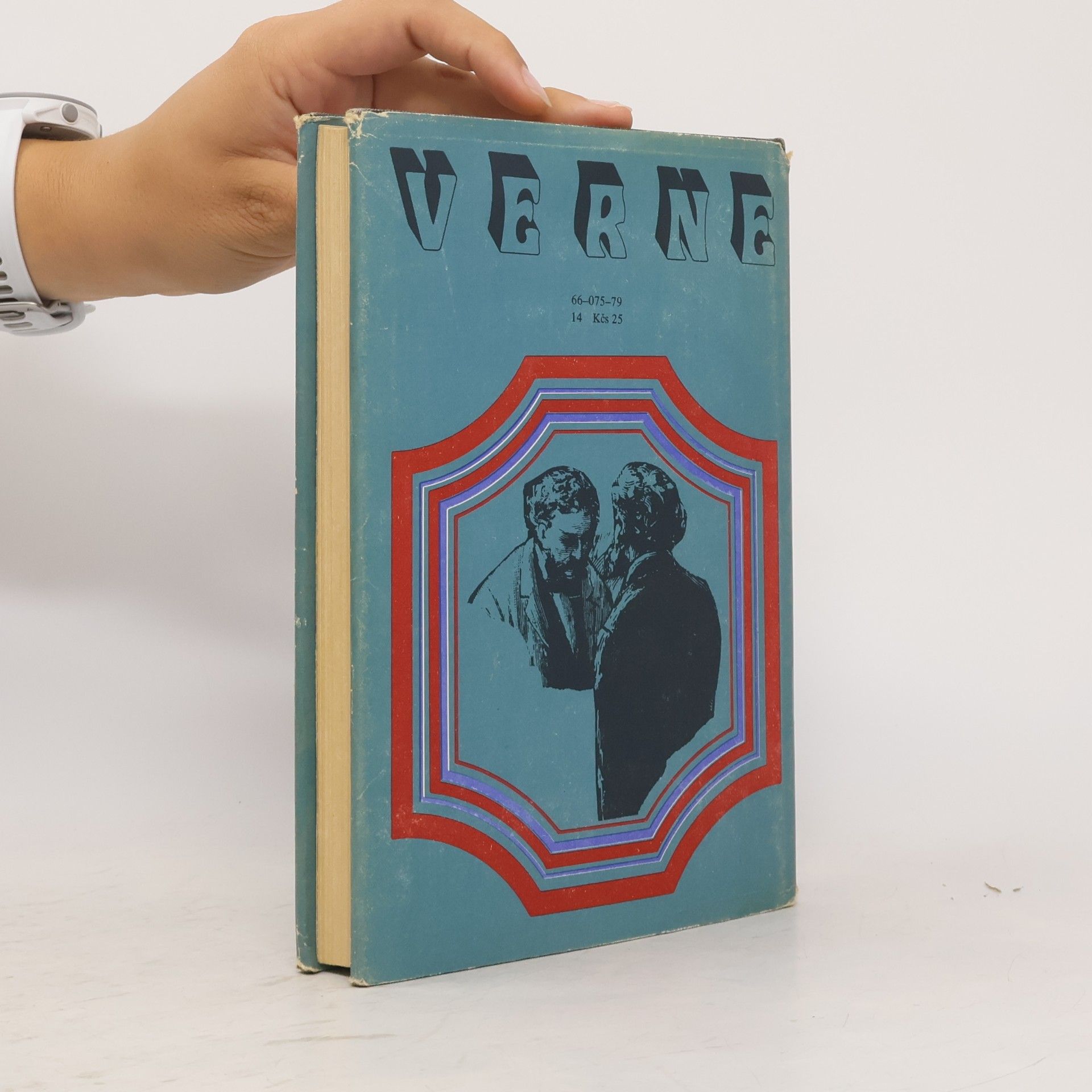 Jules Verne Bratia Kipovci