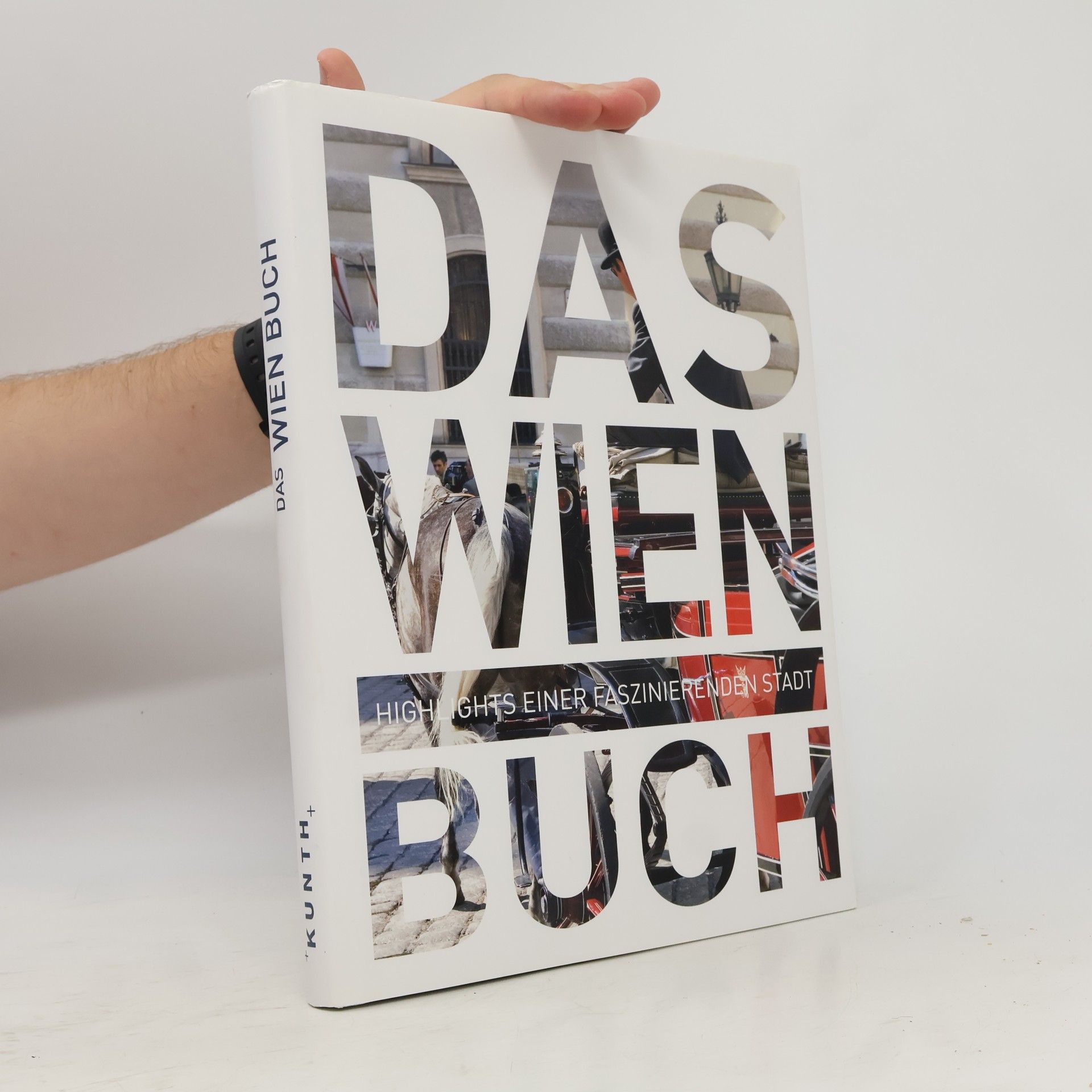Various authors Das Wien Buch