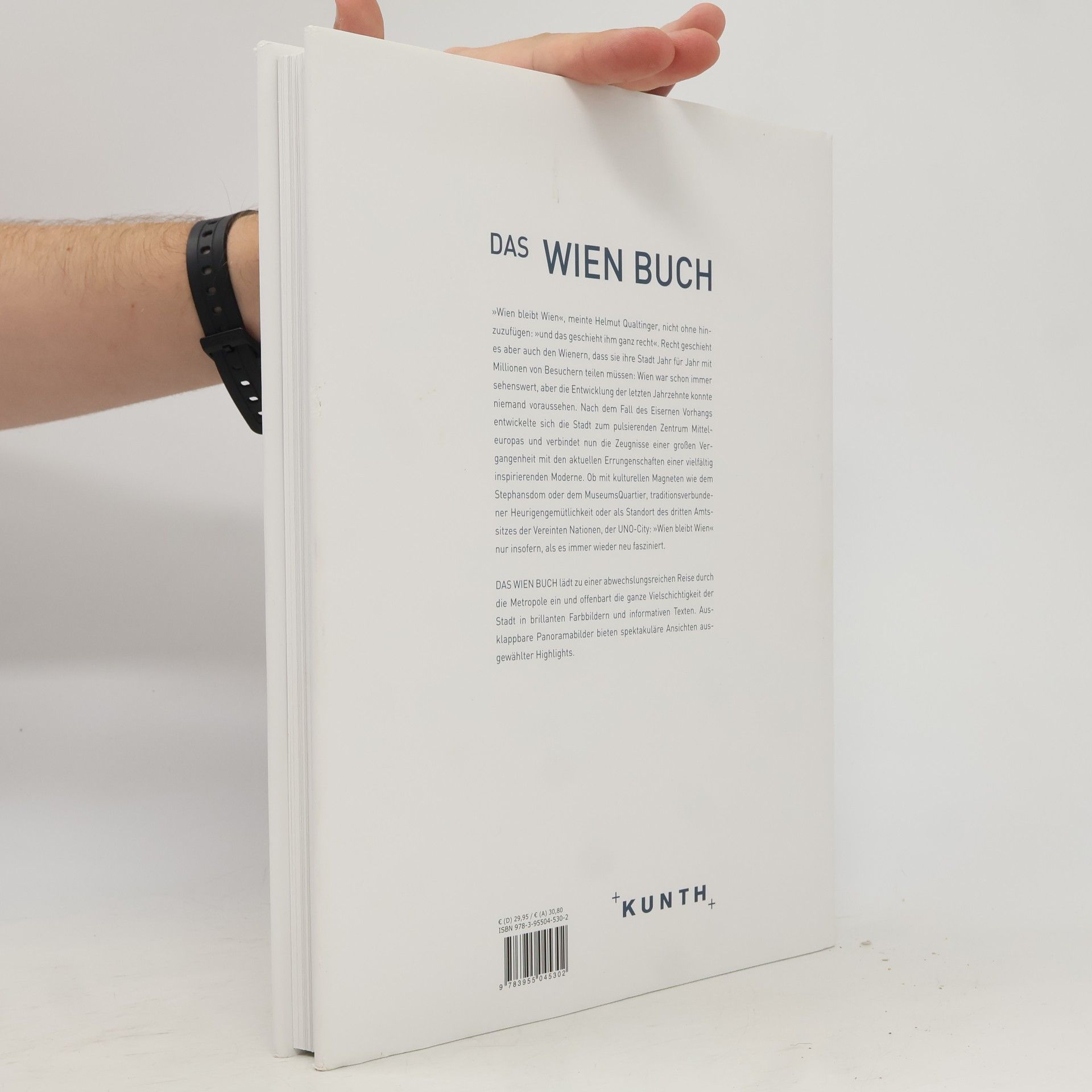 Das Wien Buch