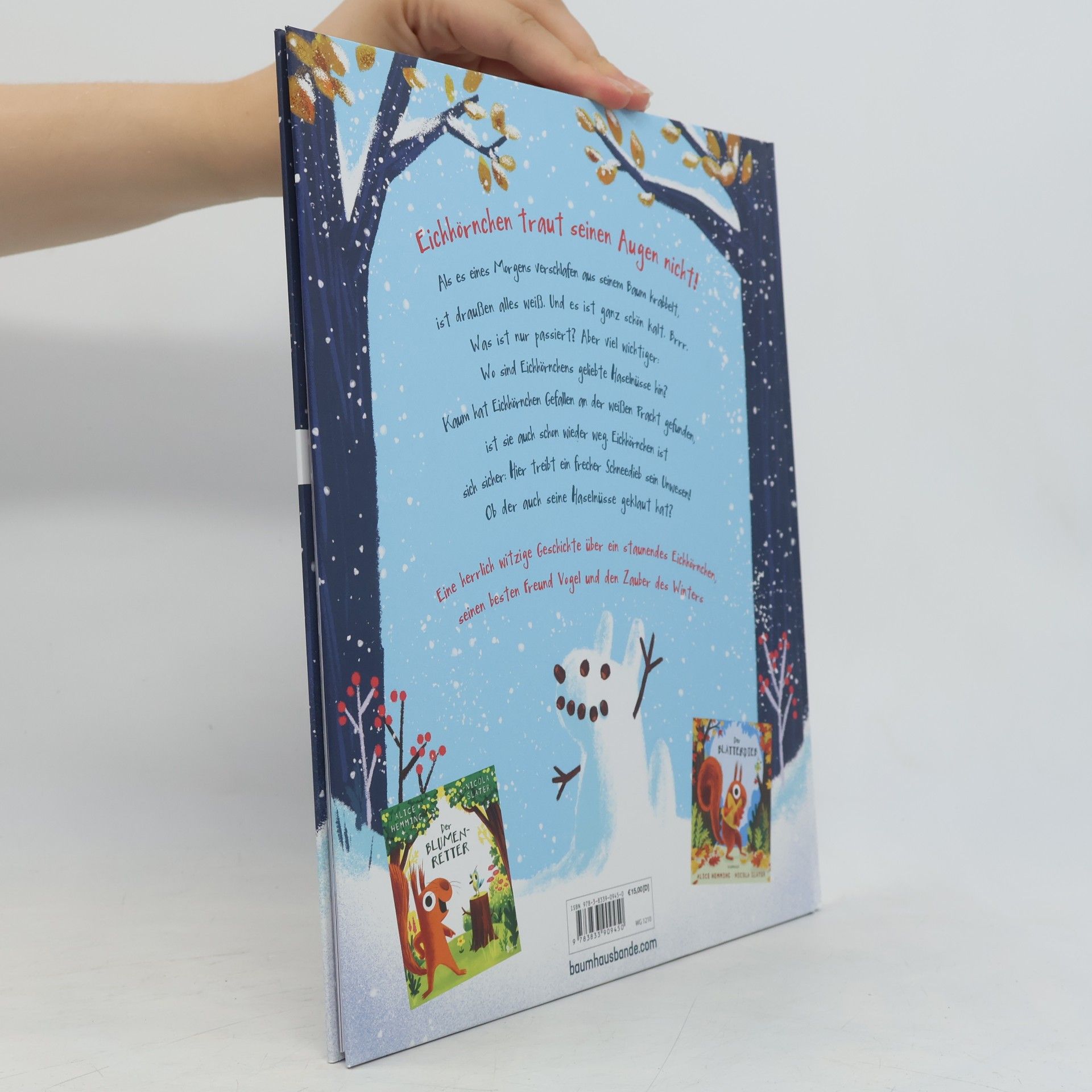 Alice Hemming Der Schneedieb