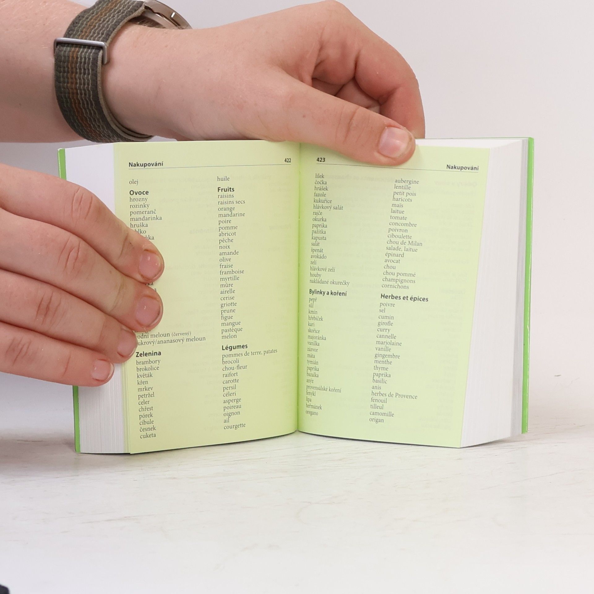 Various authors Francouzsko-český, česko-francouzský kapesní slovník