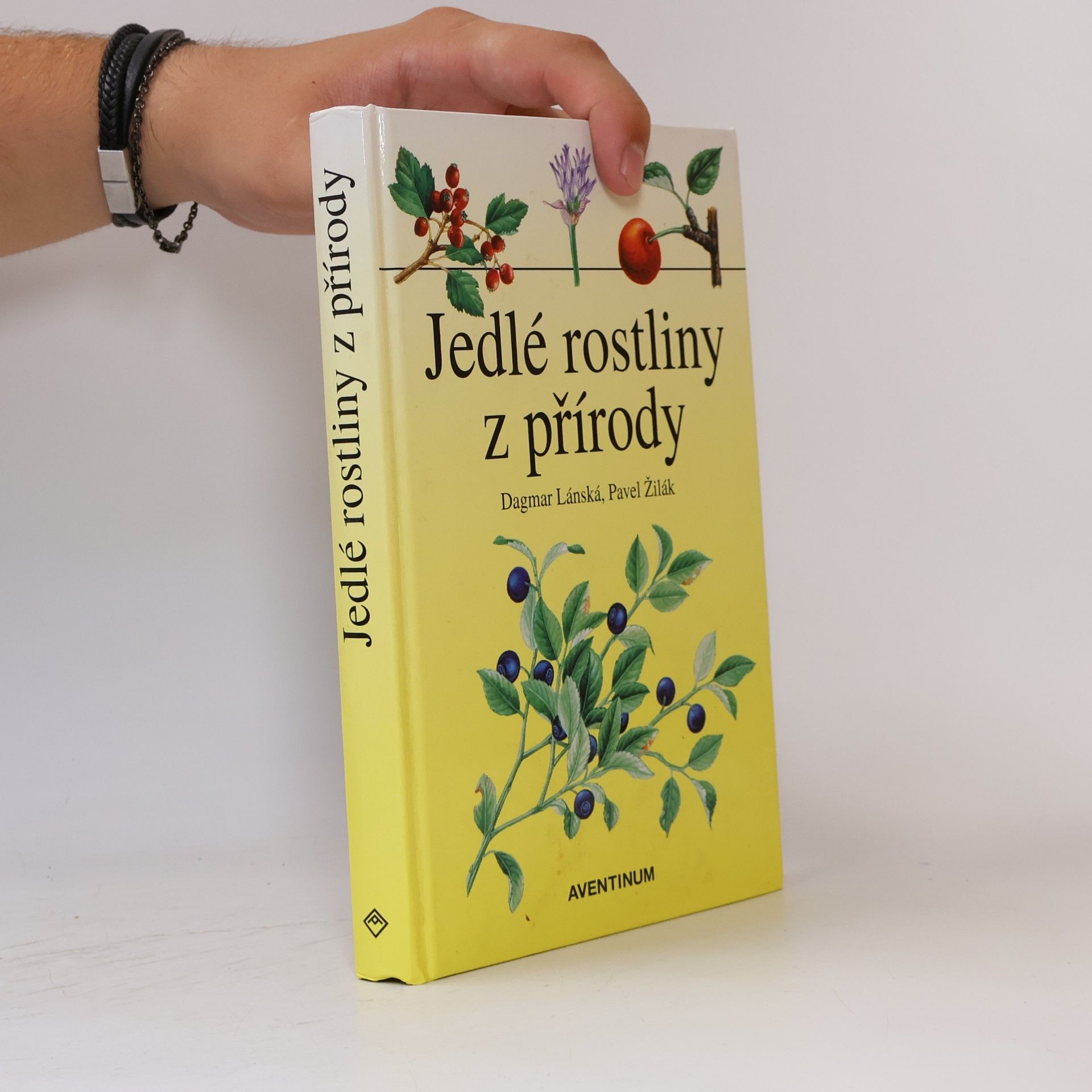 Dagmar Lánská Jedlé rostliny z přírody
