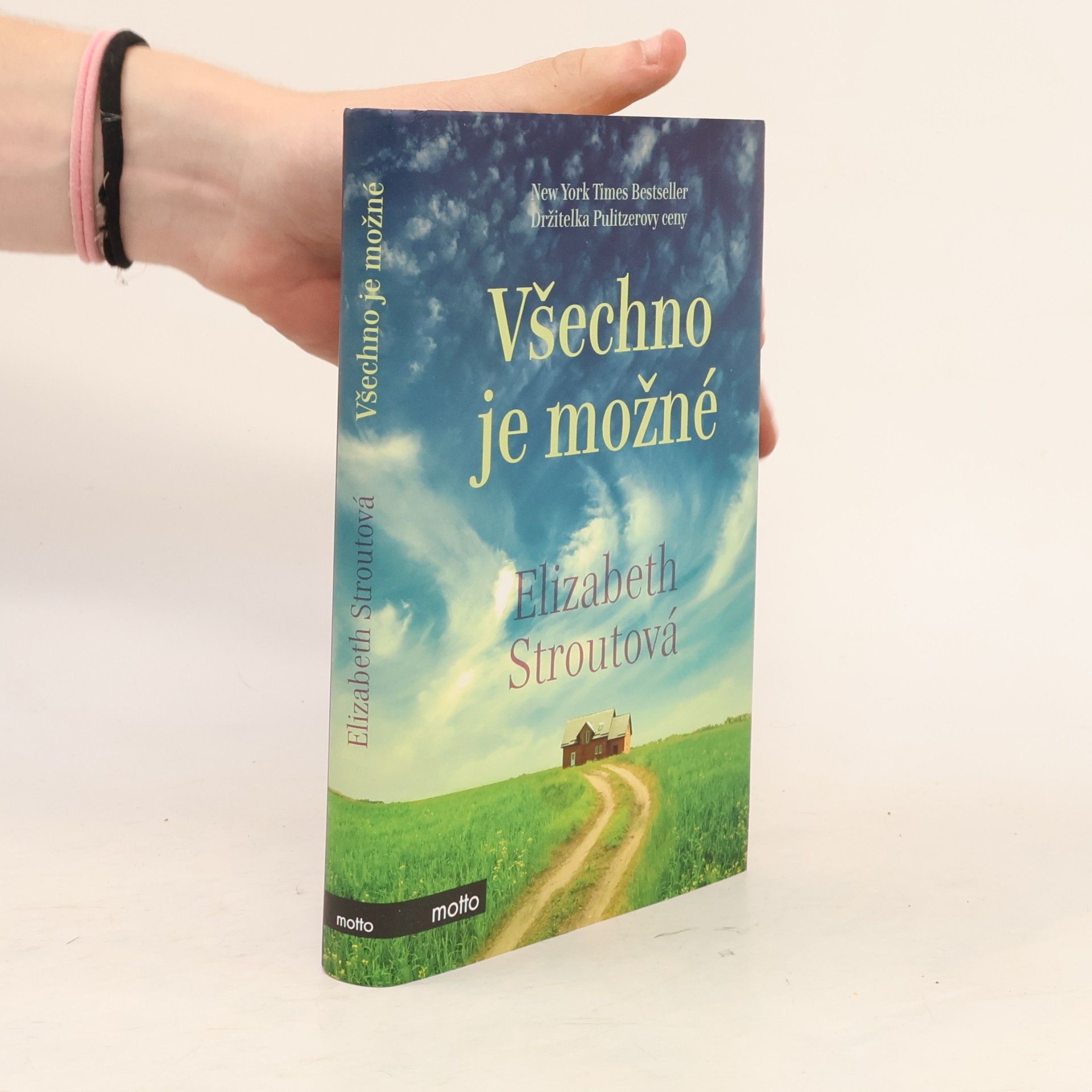 Elizabeth Strout Všechno je možné